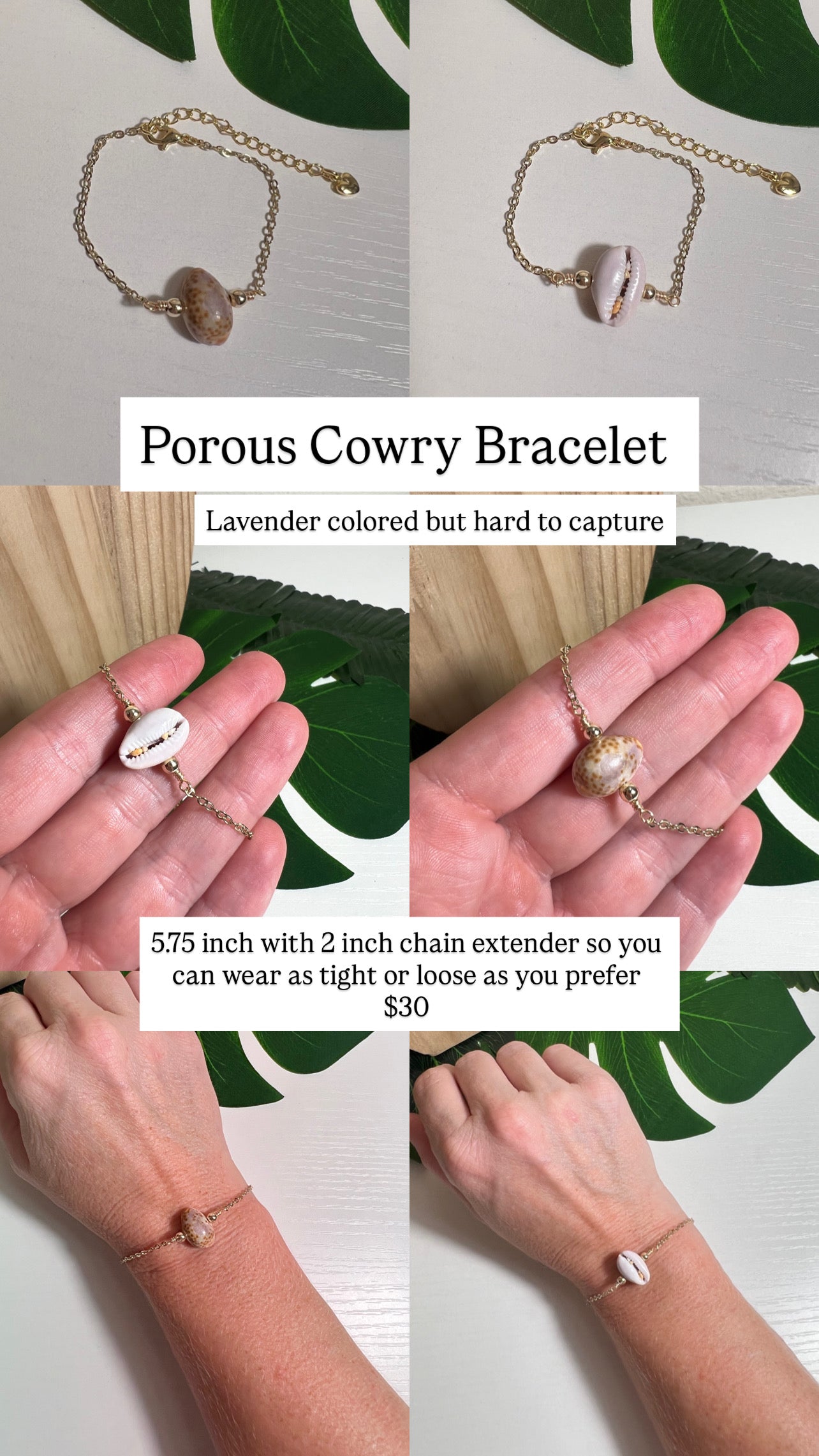 Porous Cowry Bracelet