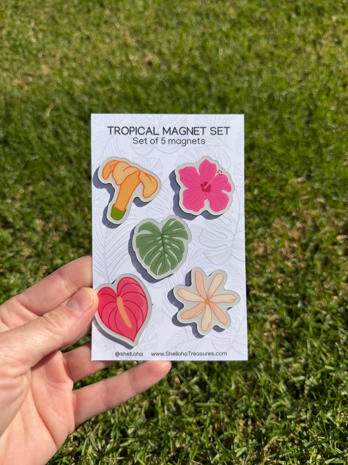 Coastal Magnet Sets – Sets of 5