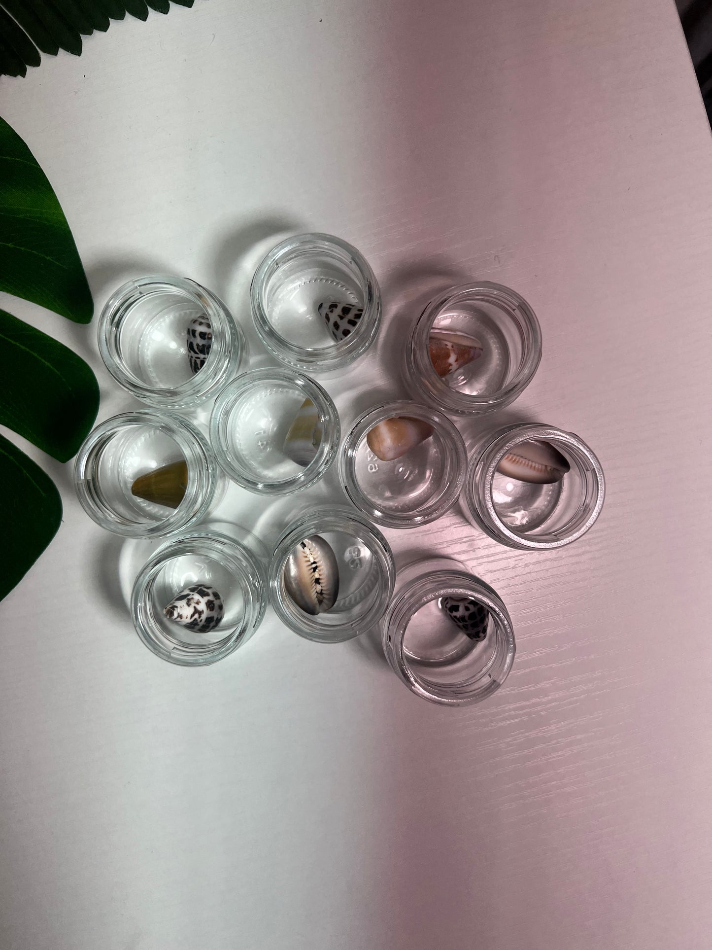 Seashell Candles