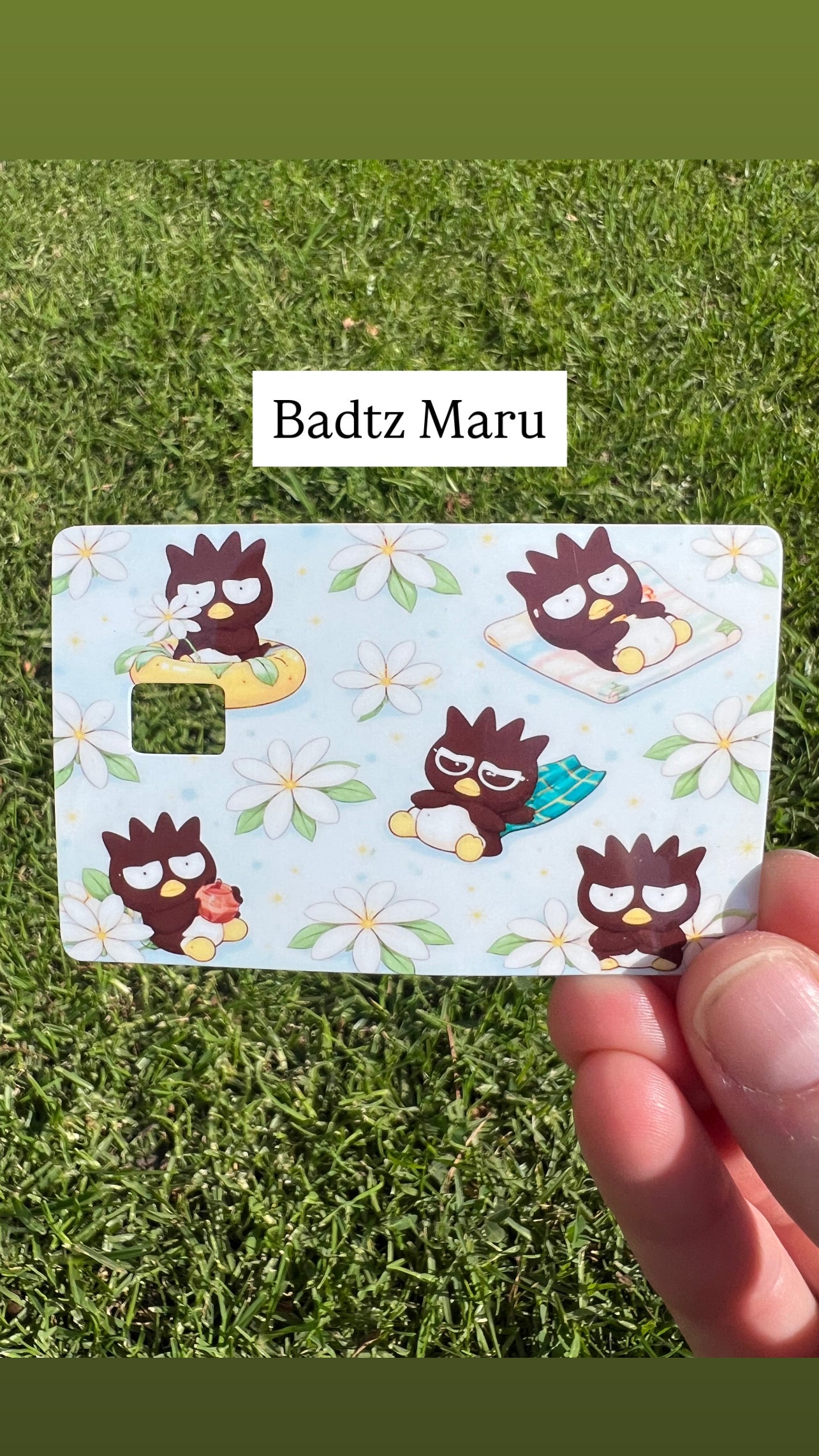 Sanrio Collection Card Skins