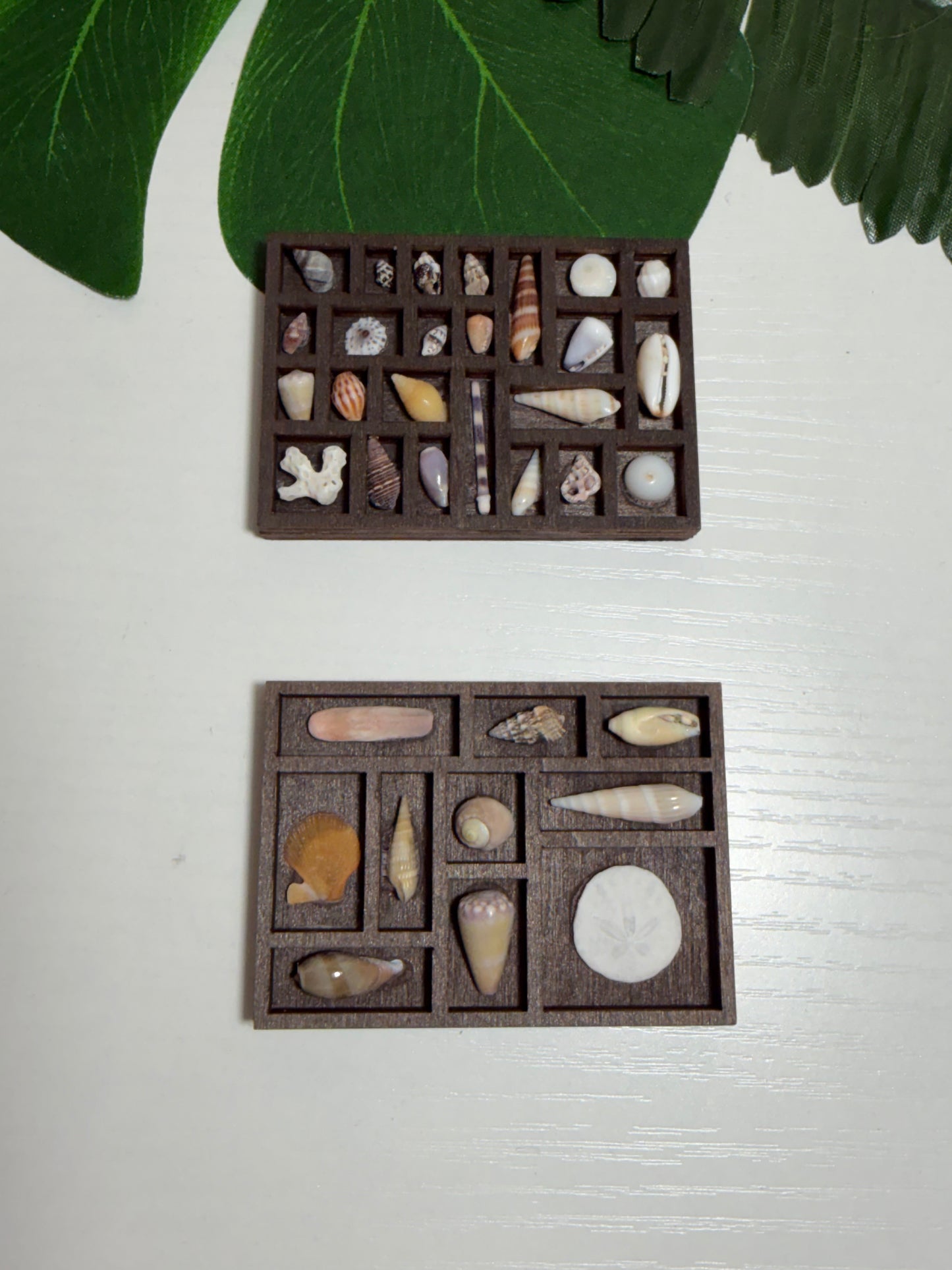 Tiny Treasure Tray