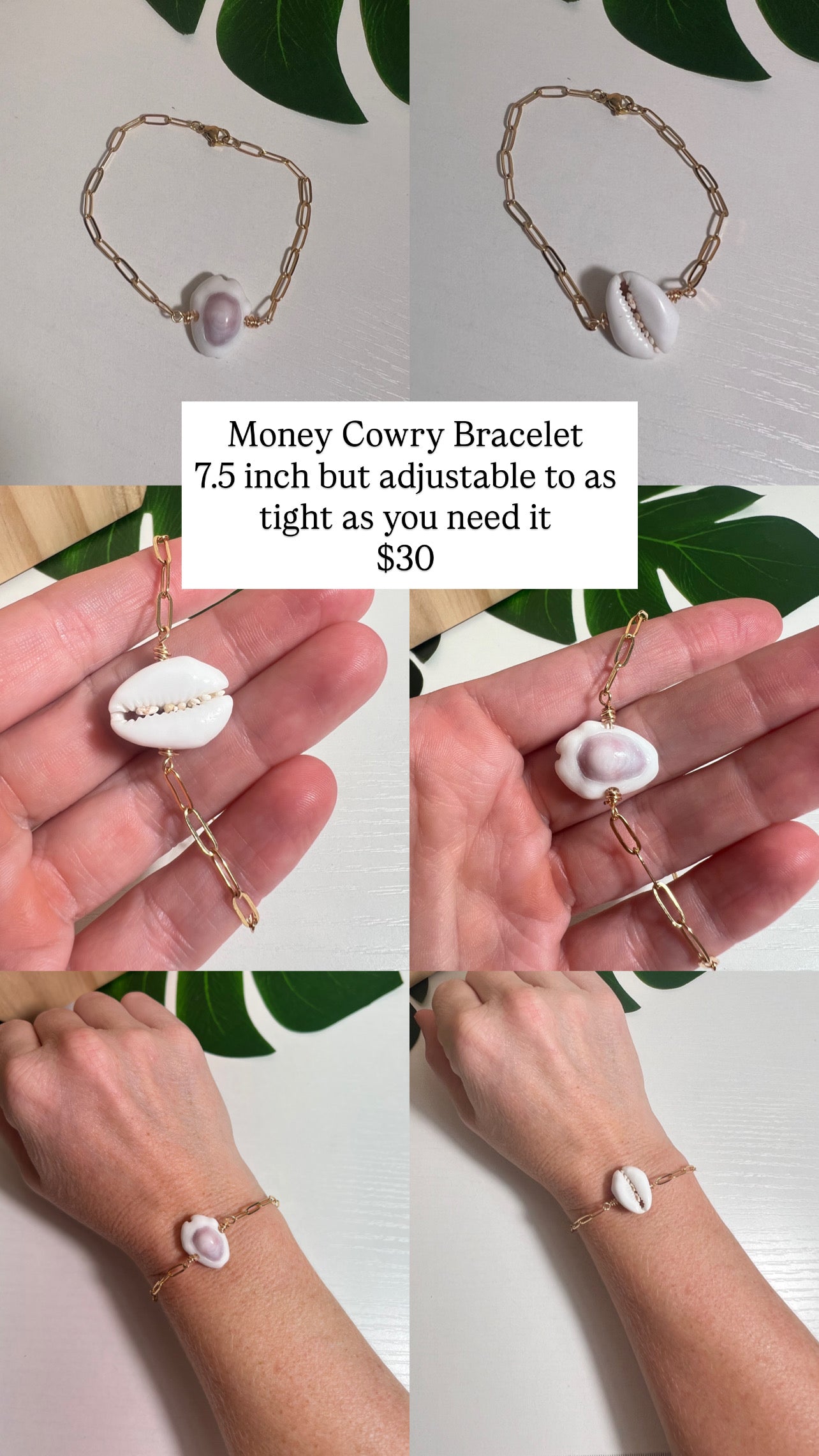 Money Cowry Bracelet - Adjustable