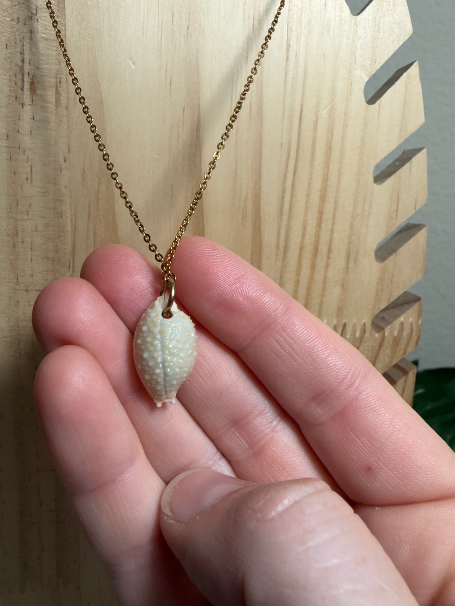 Nucleus Cowry Shell Gold Necklace