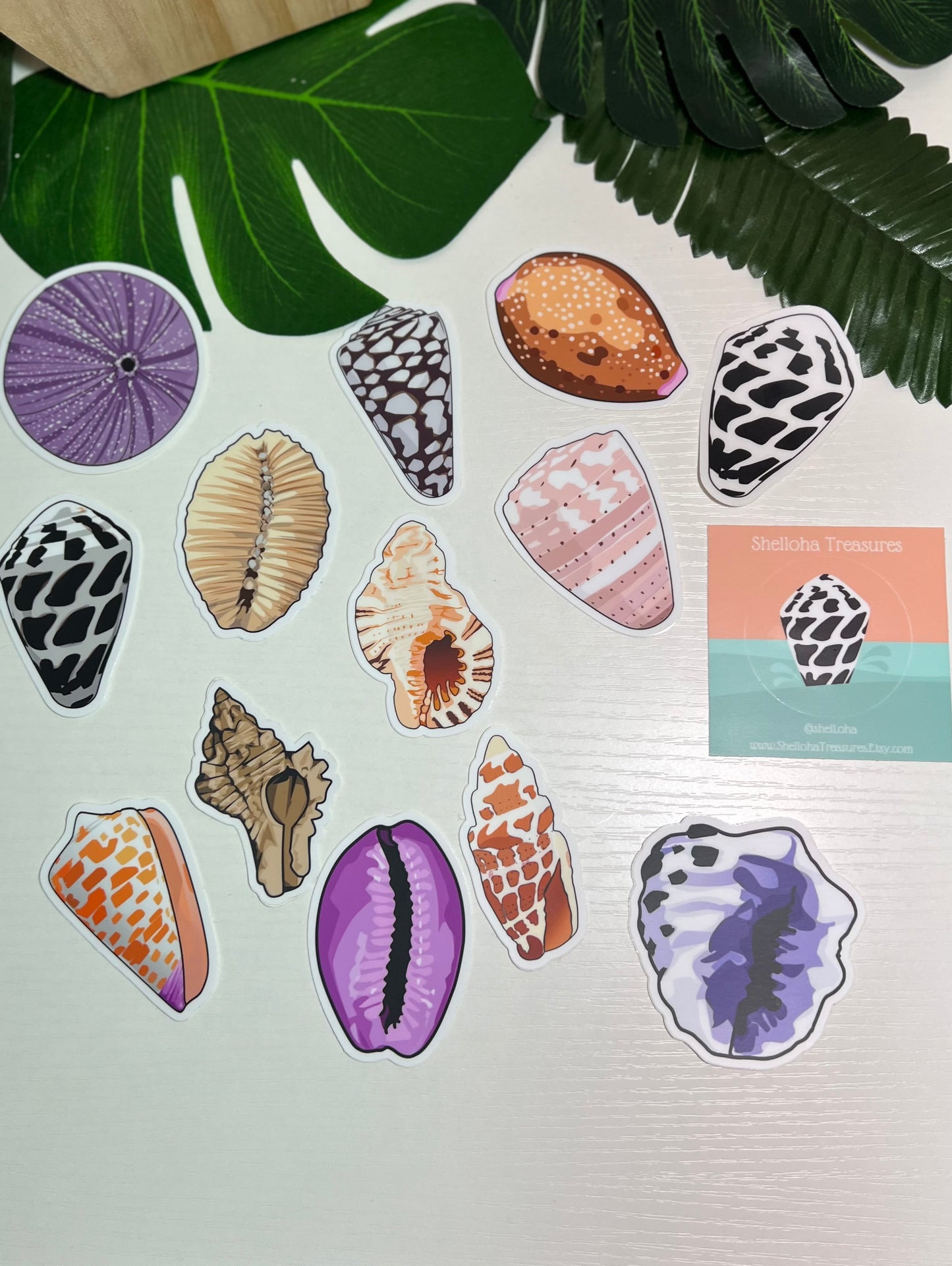 Seashell Stickers