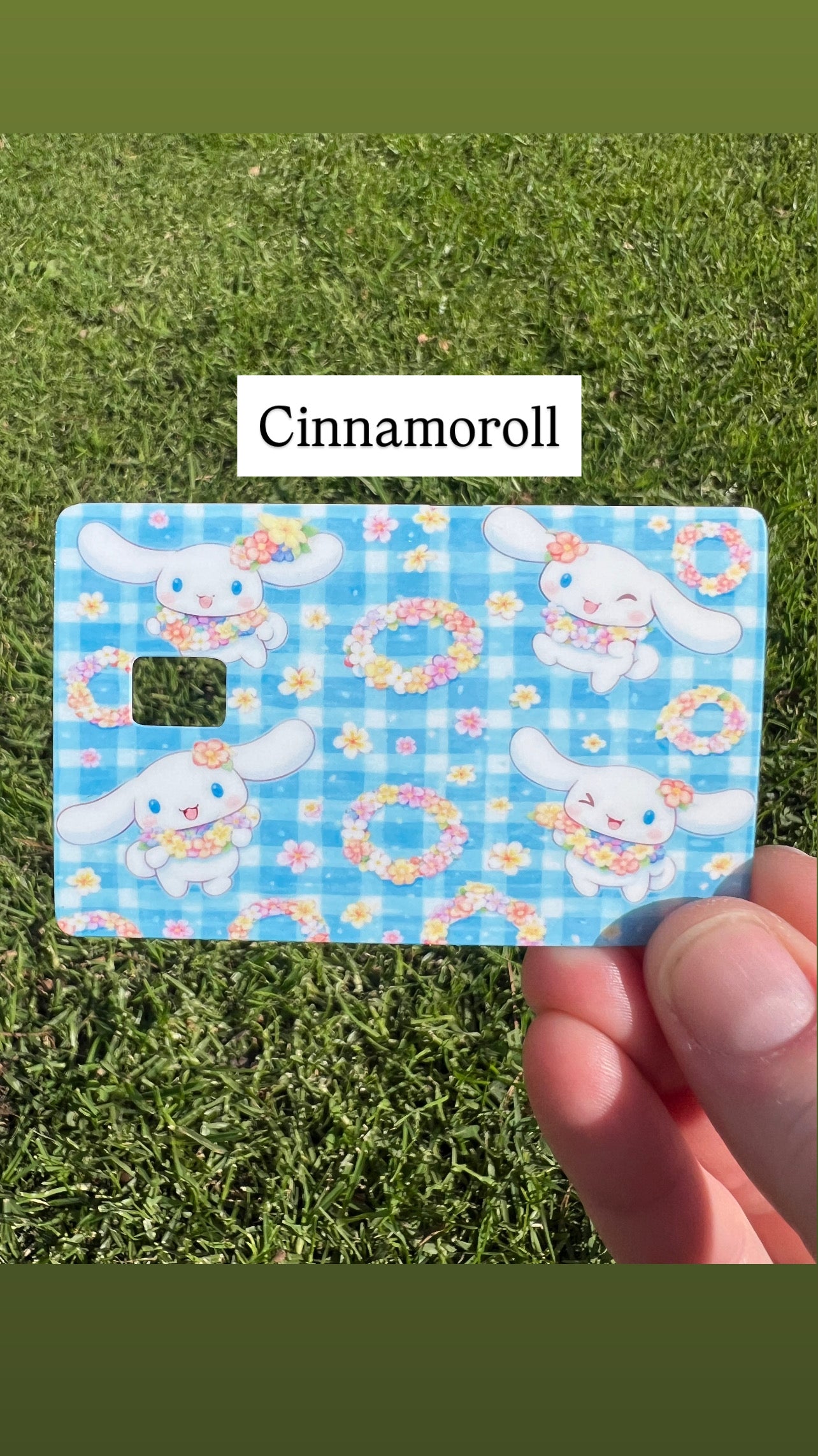 Sanrio Collection Card Skins