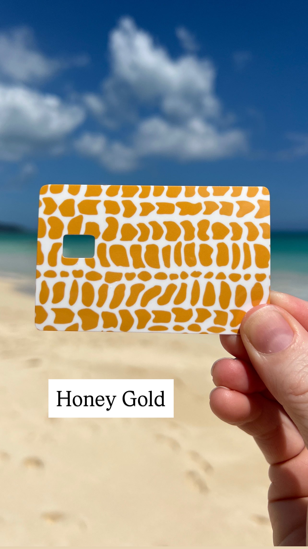 Hebrew Cone Shell Pattern Card Skins