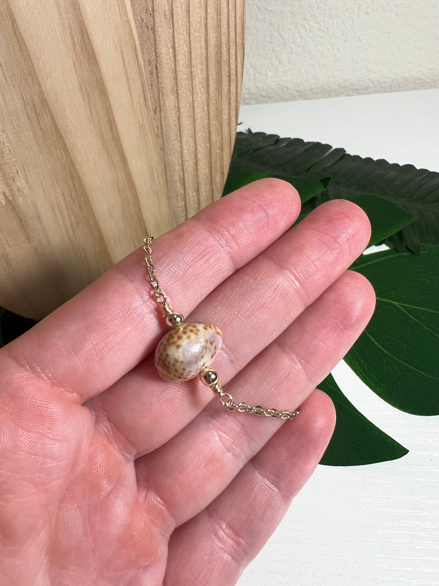 Porous Cowry Bracelet