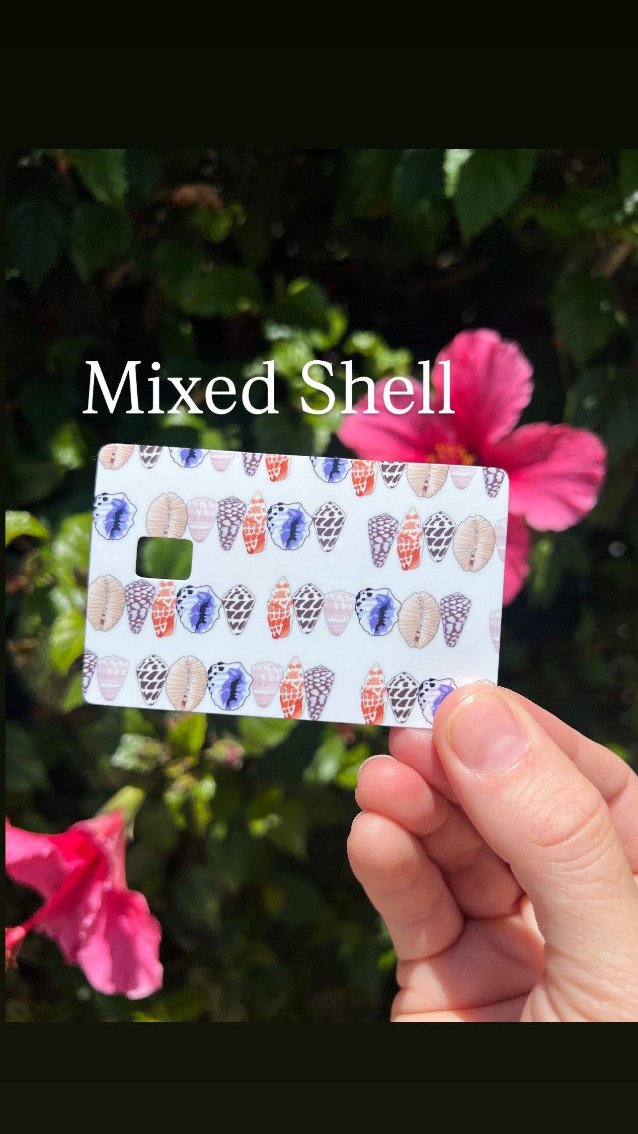 Seashell Card Skins