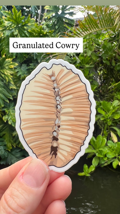 Seashell Stickers