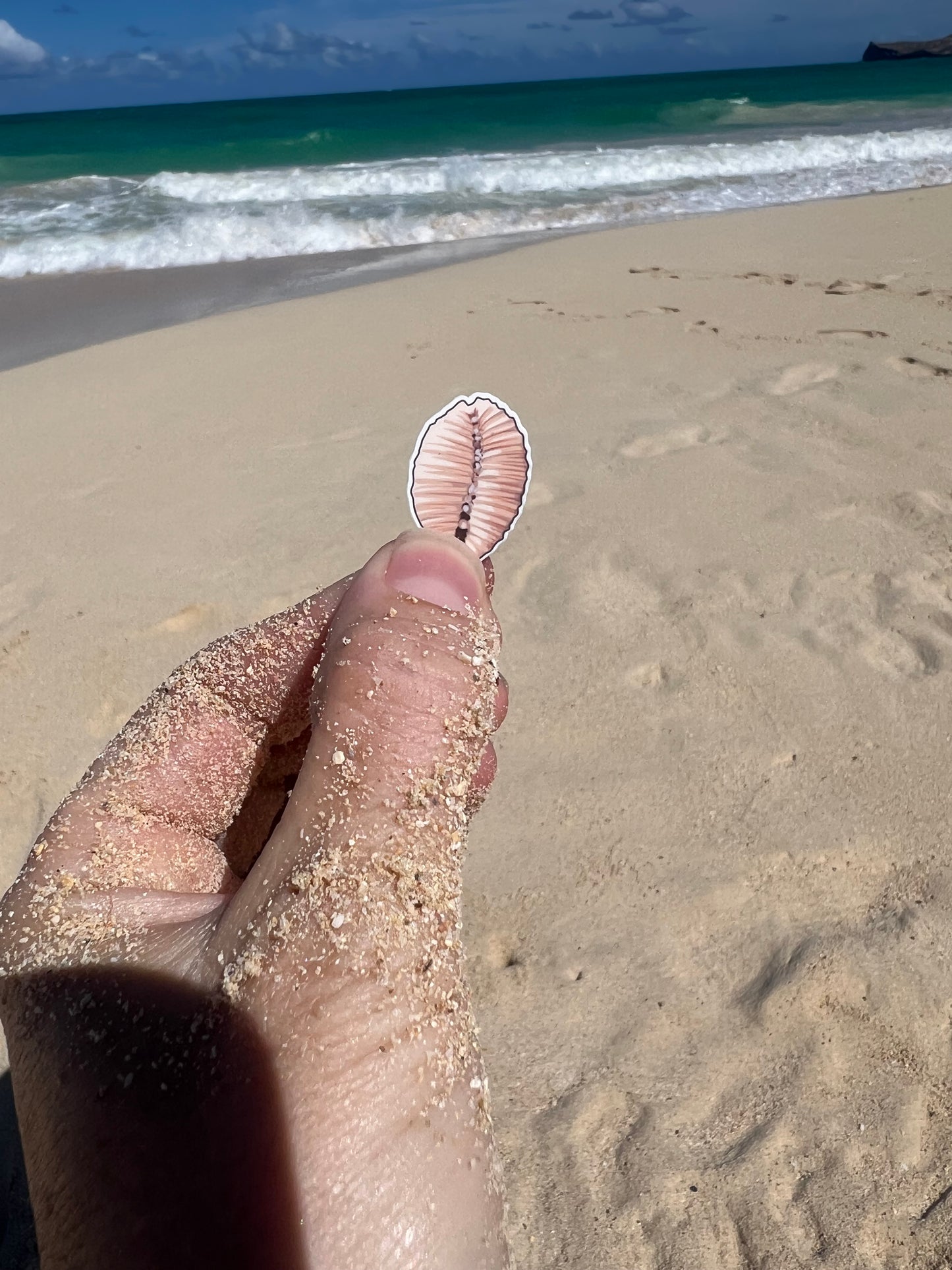 Mini Seashell Stickers