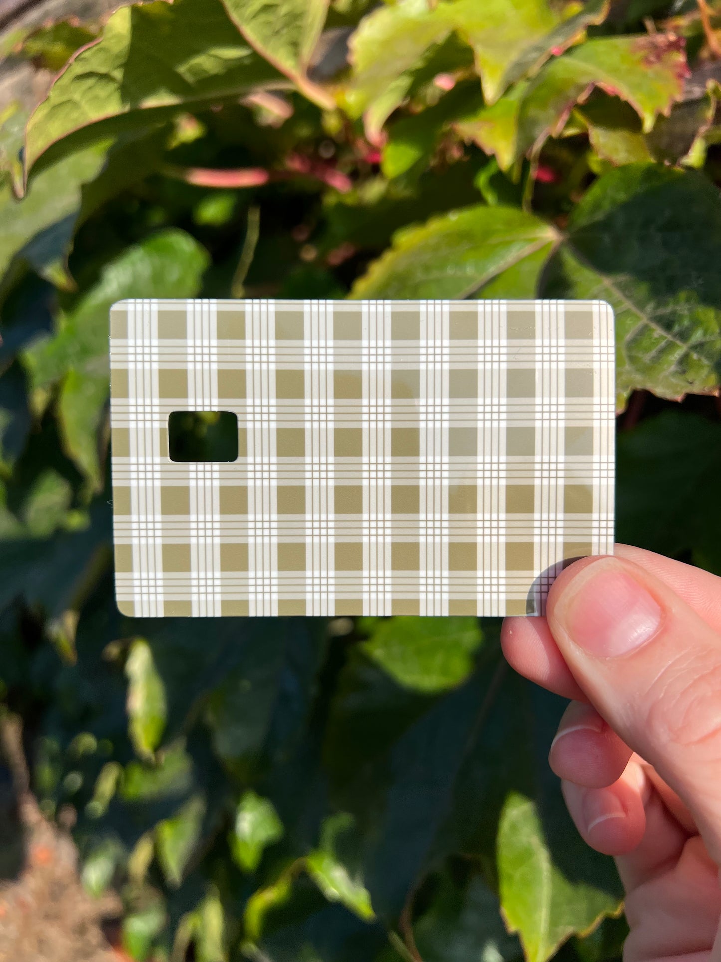 Palaka Card Skins