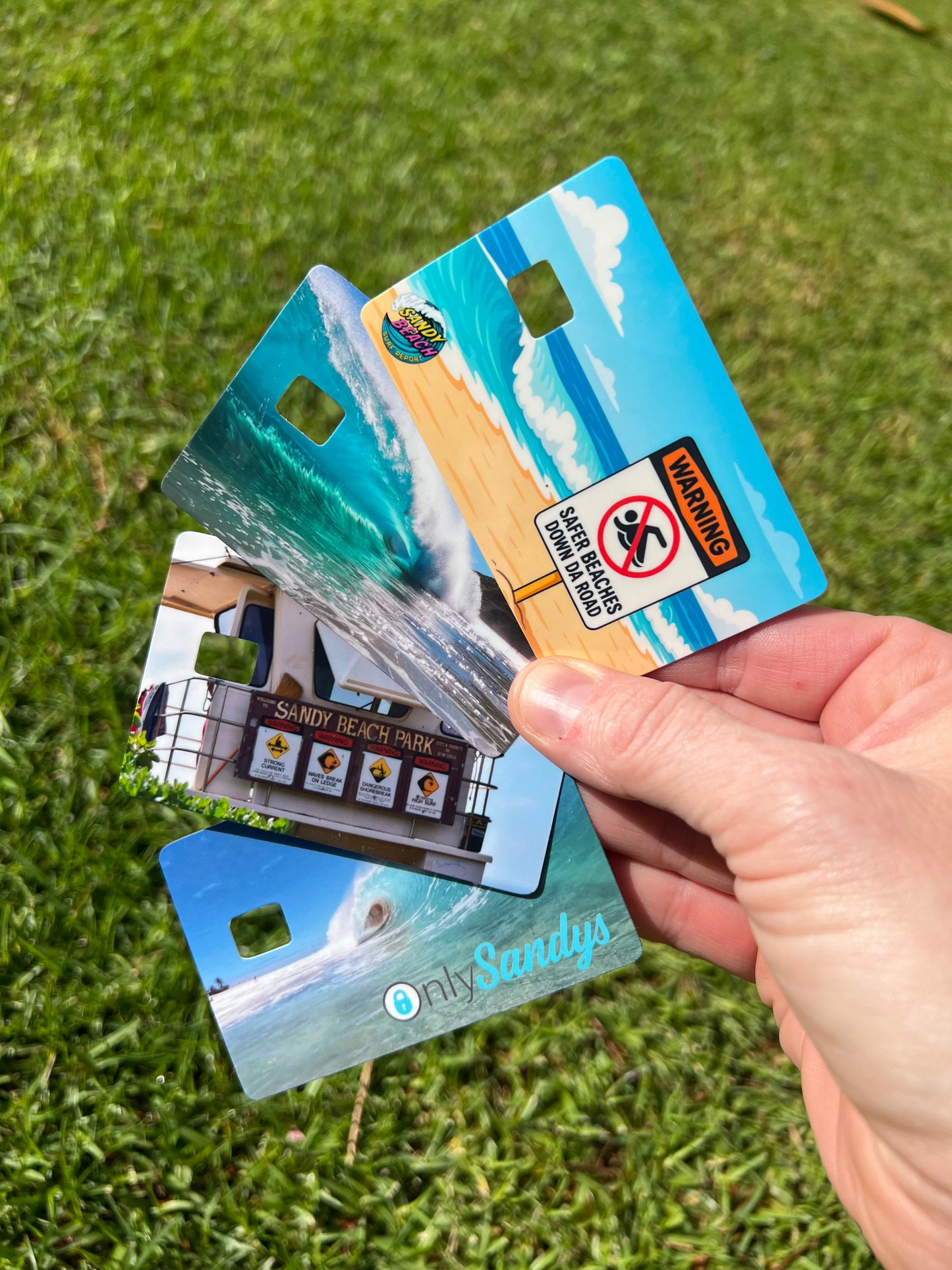 Sandy Beach Surf Report Card Skins