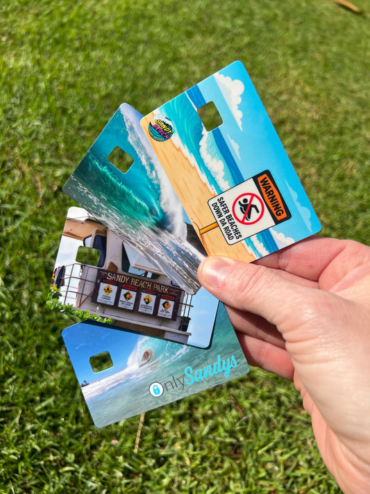Sandy Beach Surf Report Card Skins