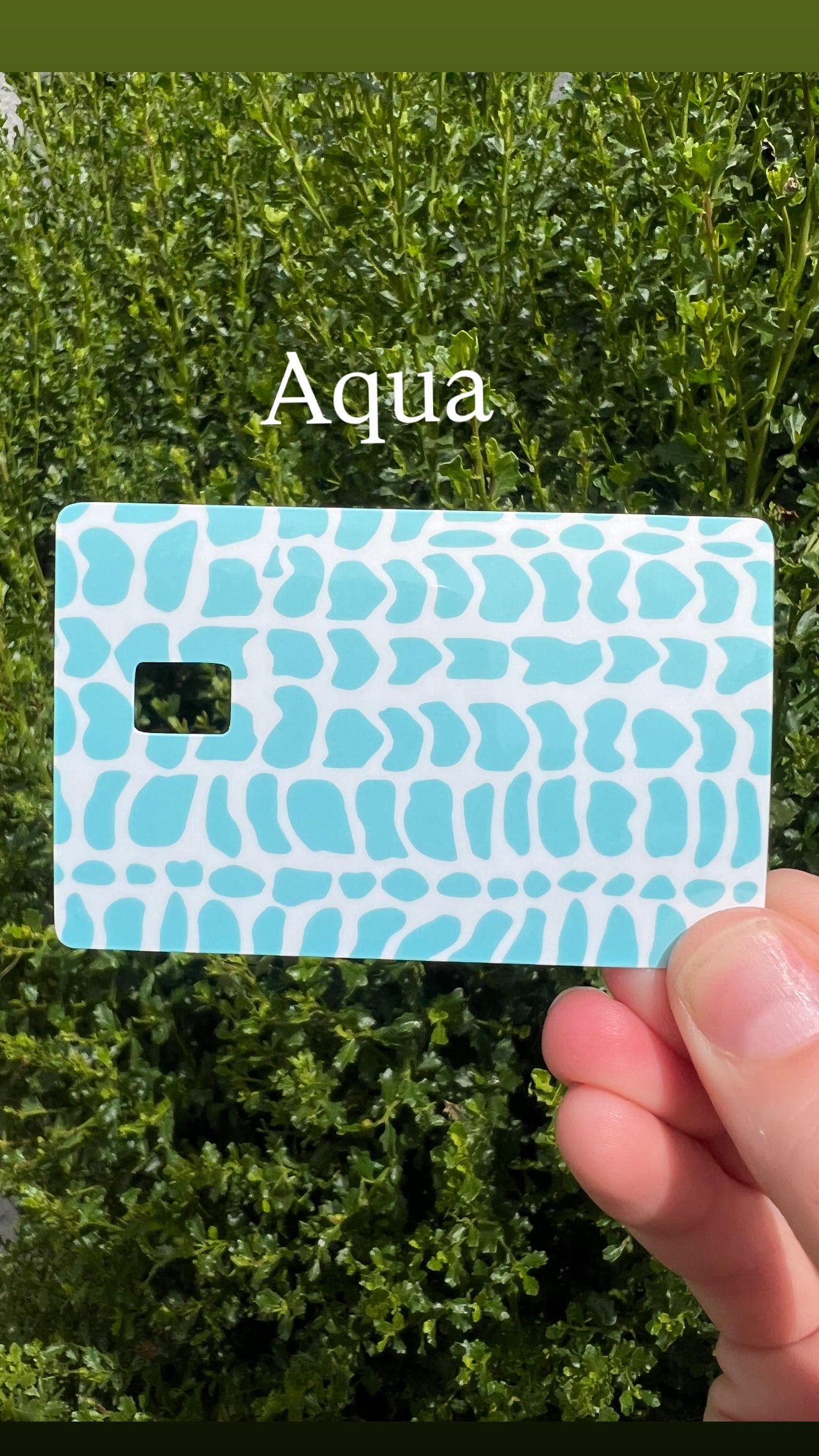 Hebrew Cone Shell Pattern Card Skins