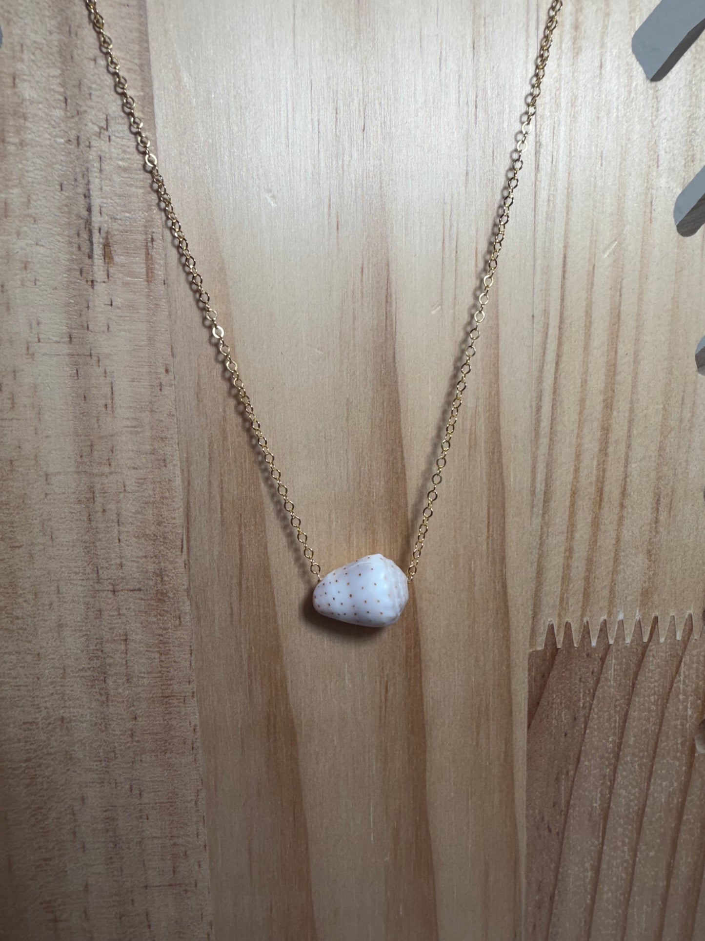 Abbreviated Cone Floating Shell Necklace – Gold Filled | 17"