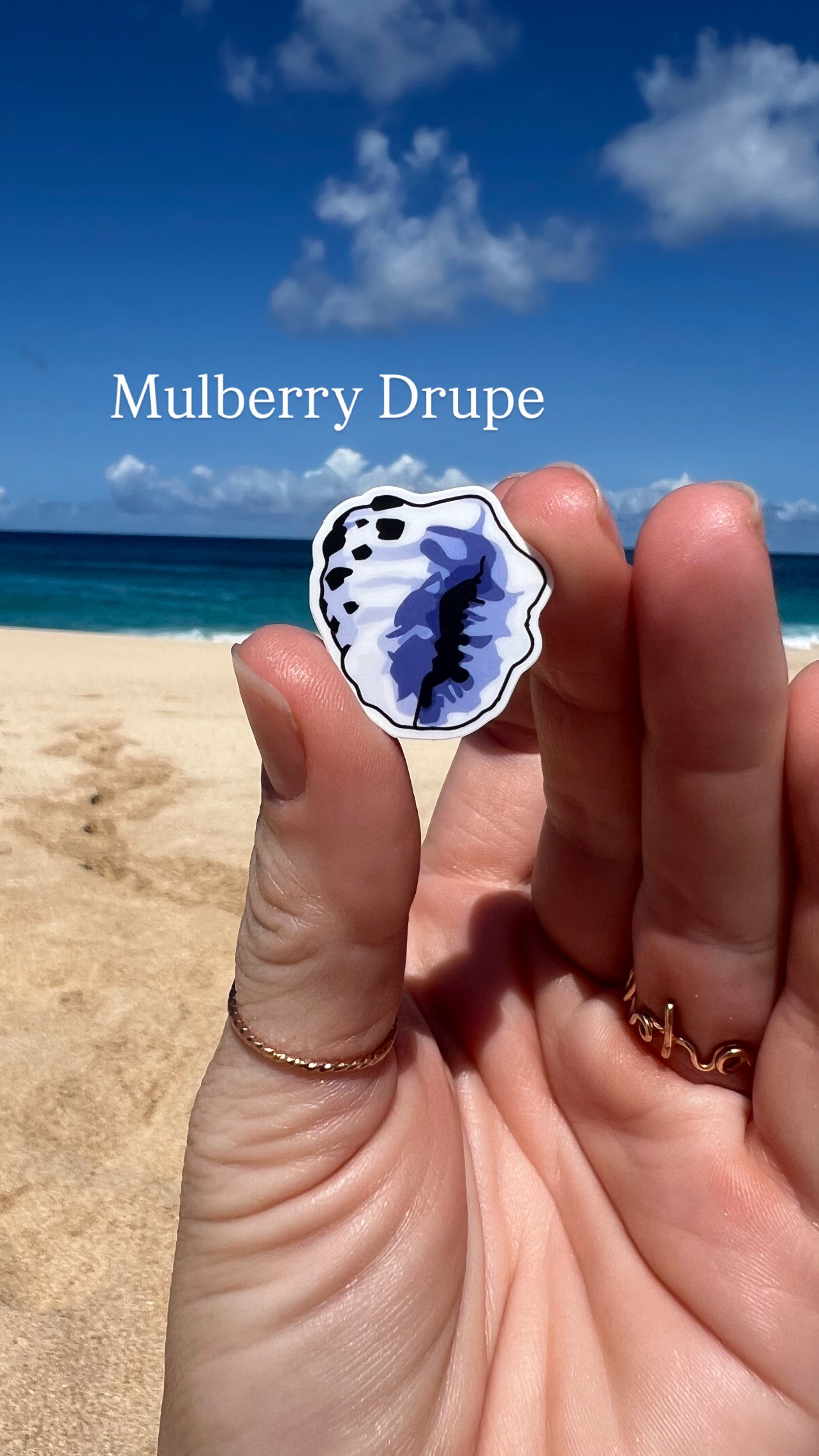 Mini Seashell Stickers