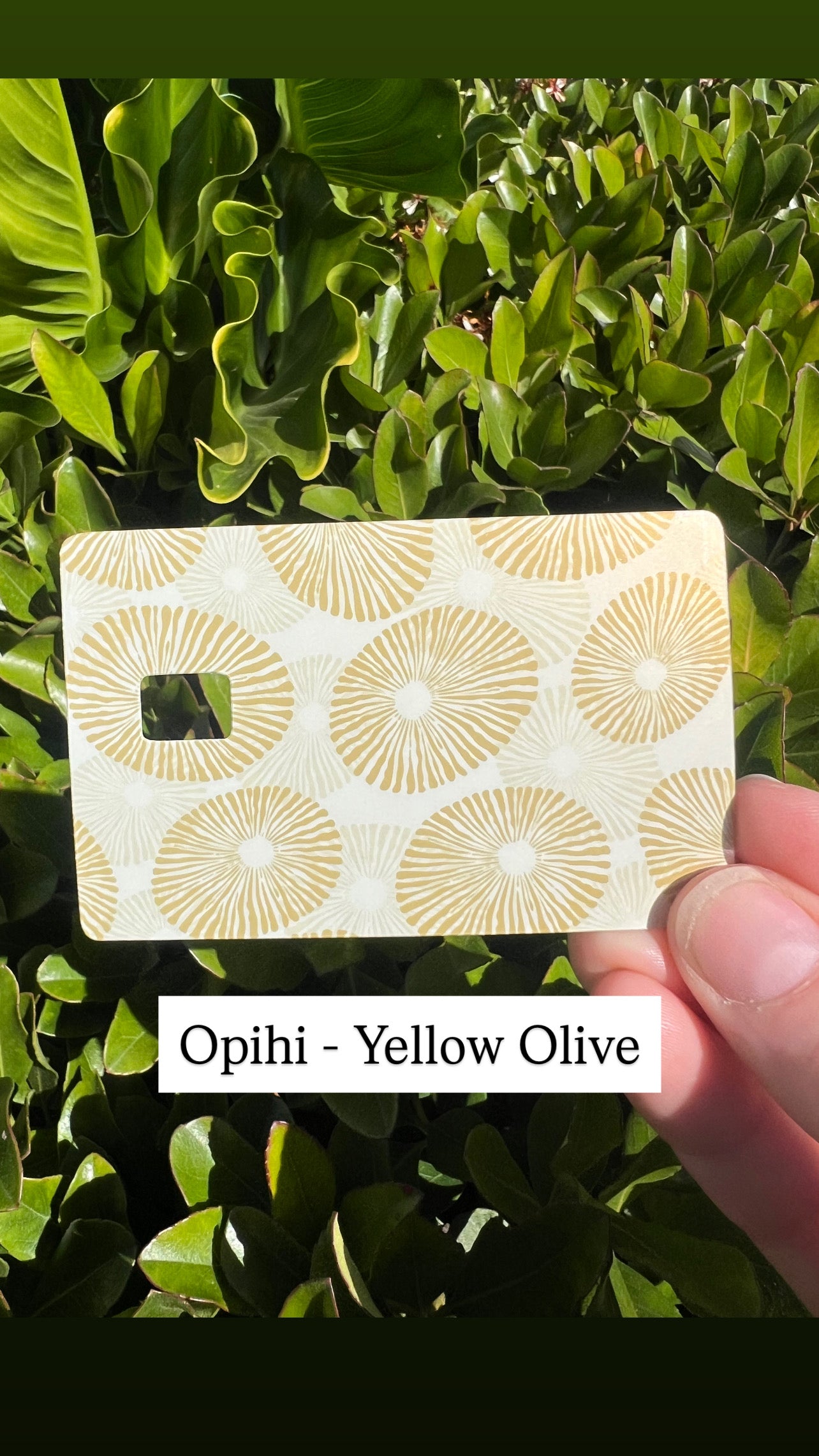 Solsirene Collab Card Skins