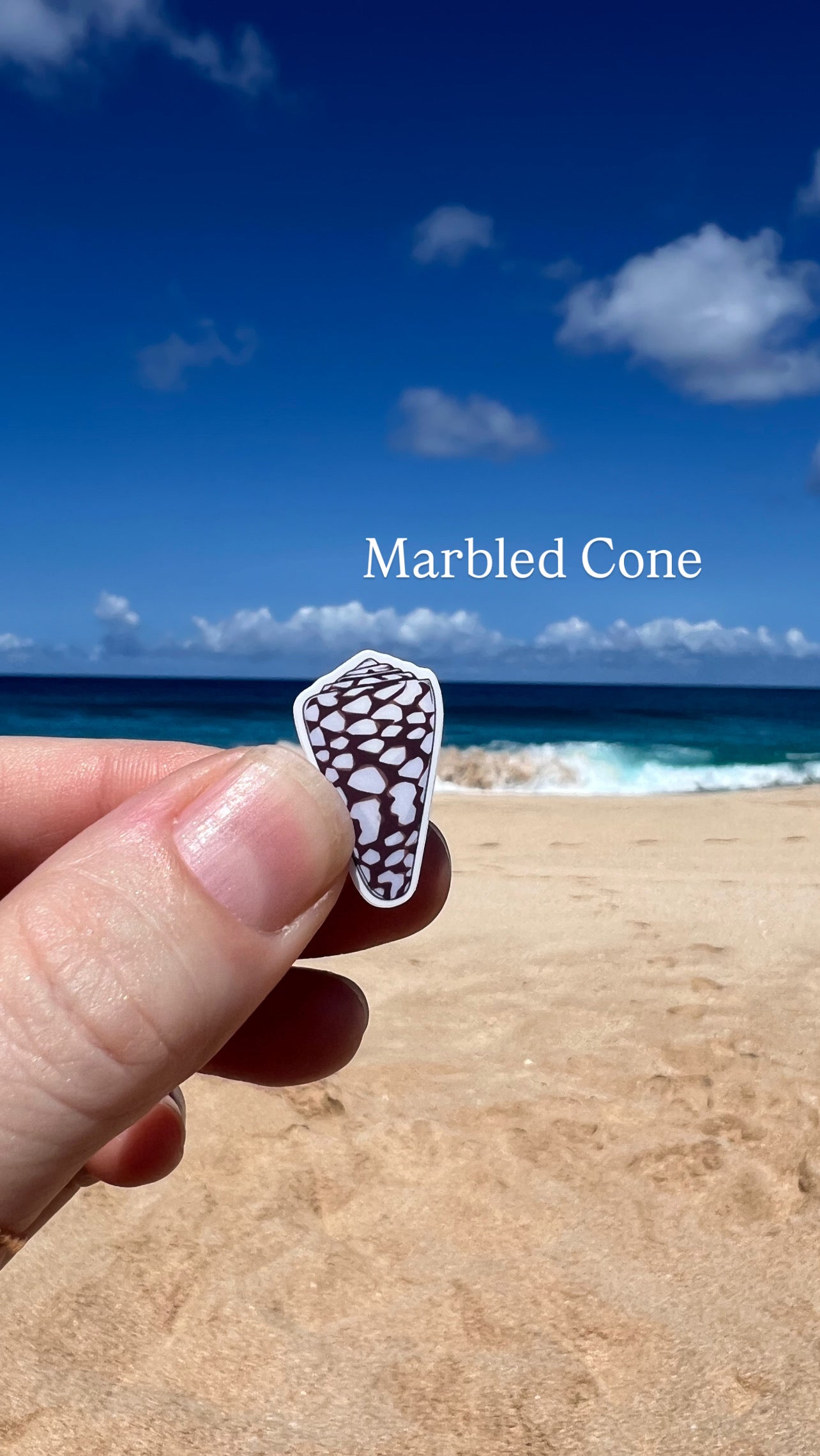 Mini Seashell Stickers