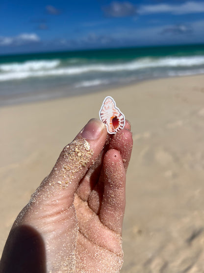 Mini Seashell Stickers