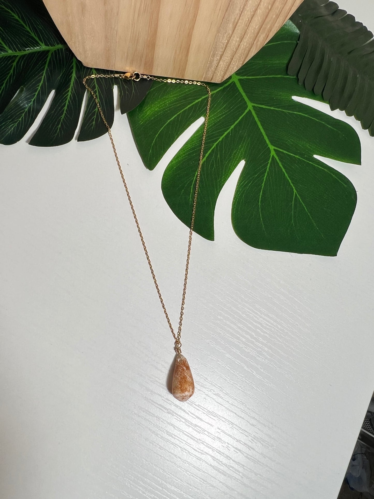 Penniform Cone Shell Necklace