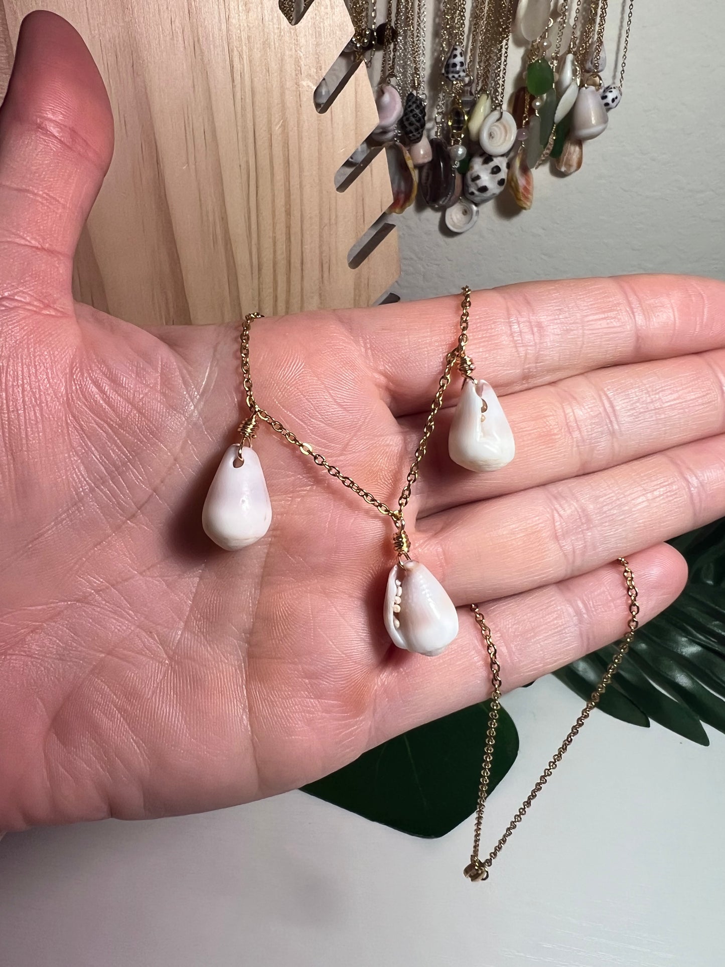 3 Hawaiian Cone Shell Necklace
