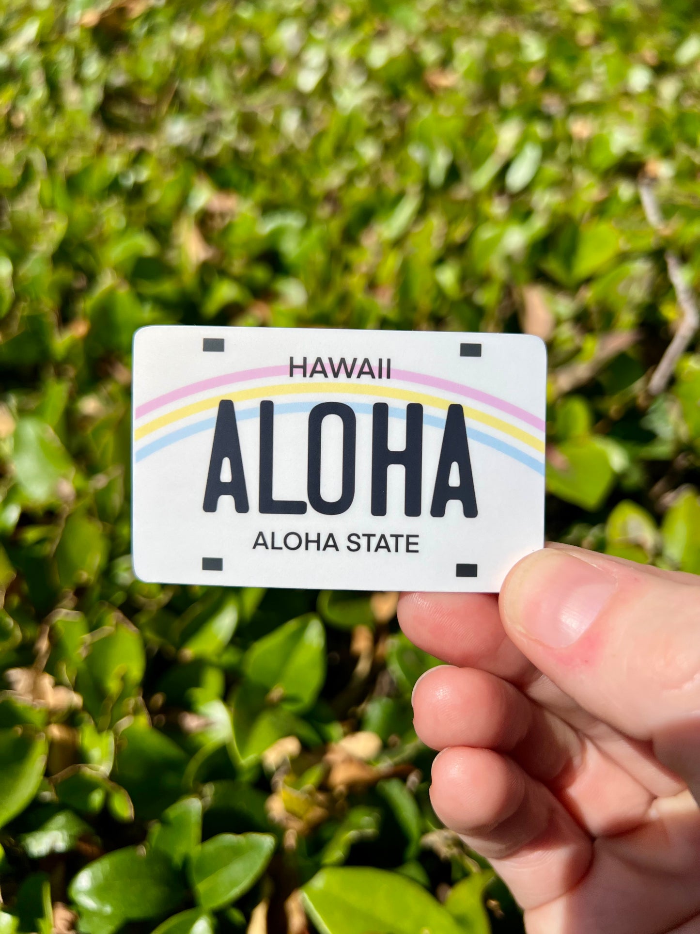 HI License Plate Stickers