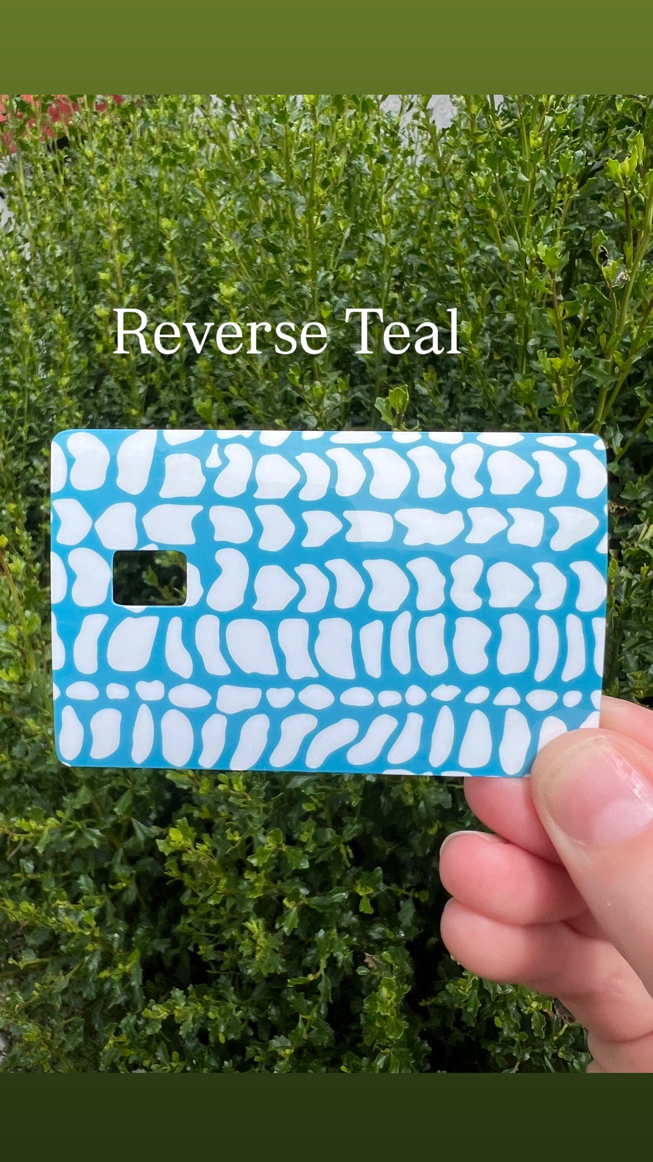 Hebrew Cone Shell Pattern Card Skins
