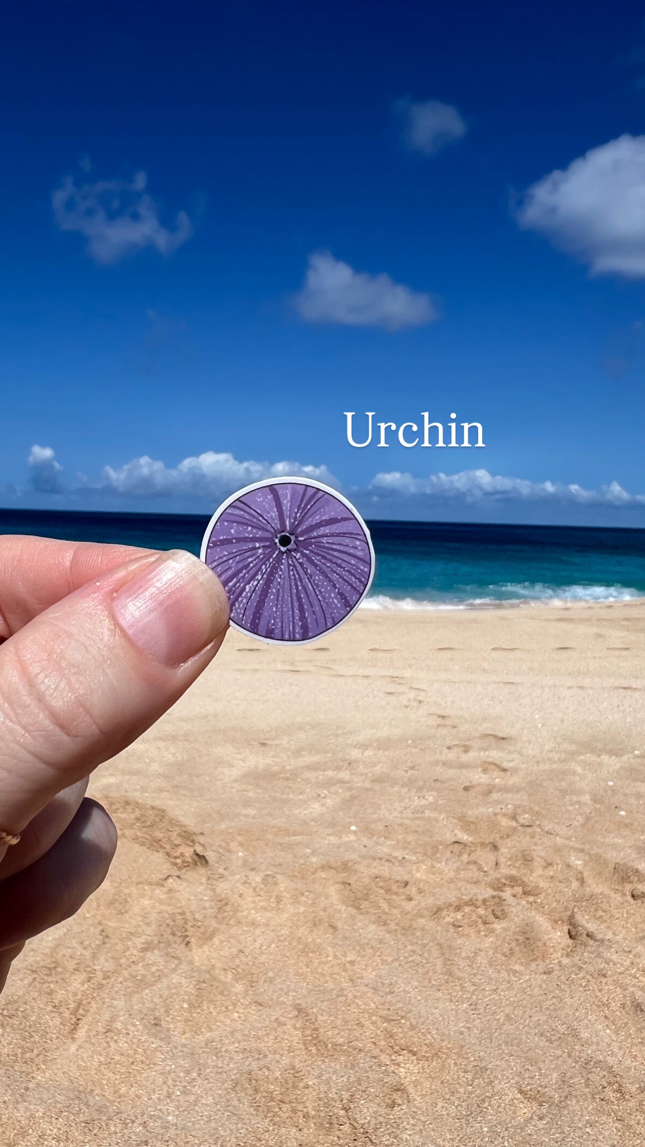 Mini Seashell Stickers