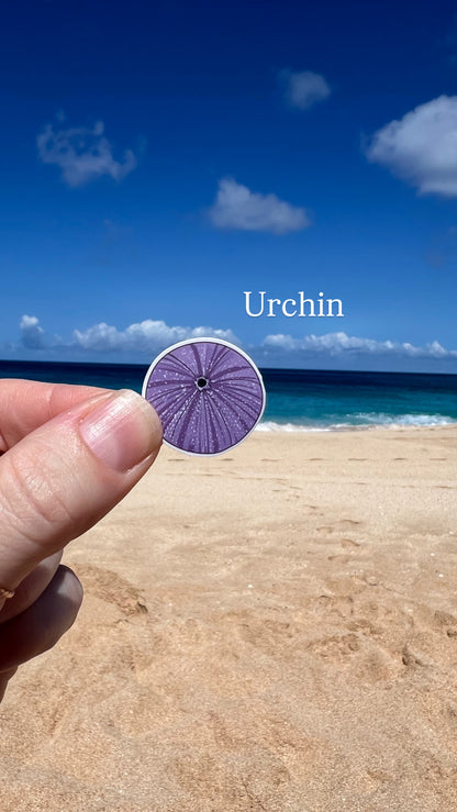 Mini Seashell Stickers