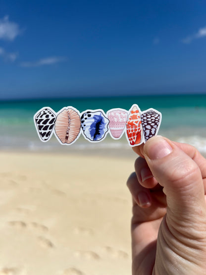 Shell Line Sticker