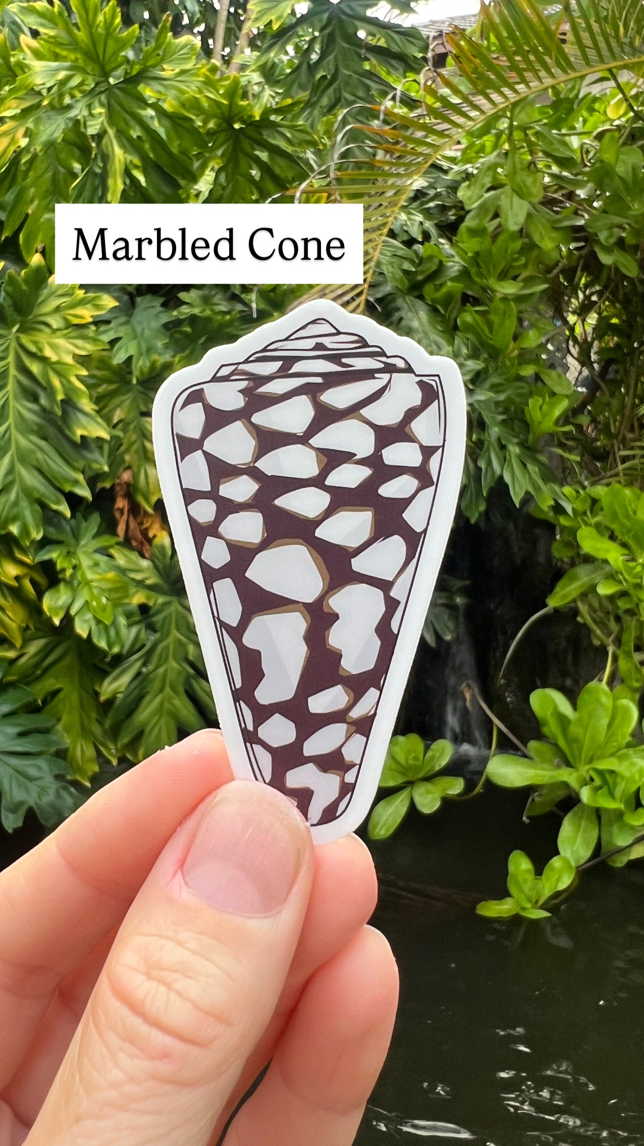 Seashell Stickers