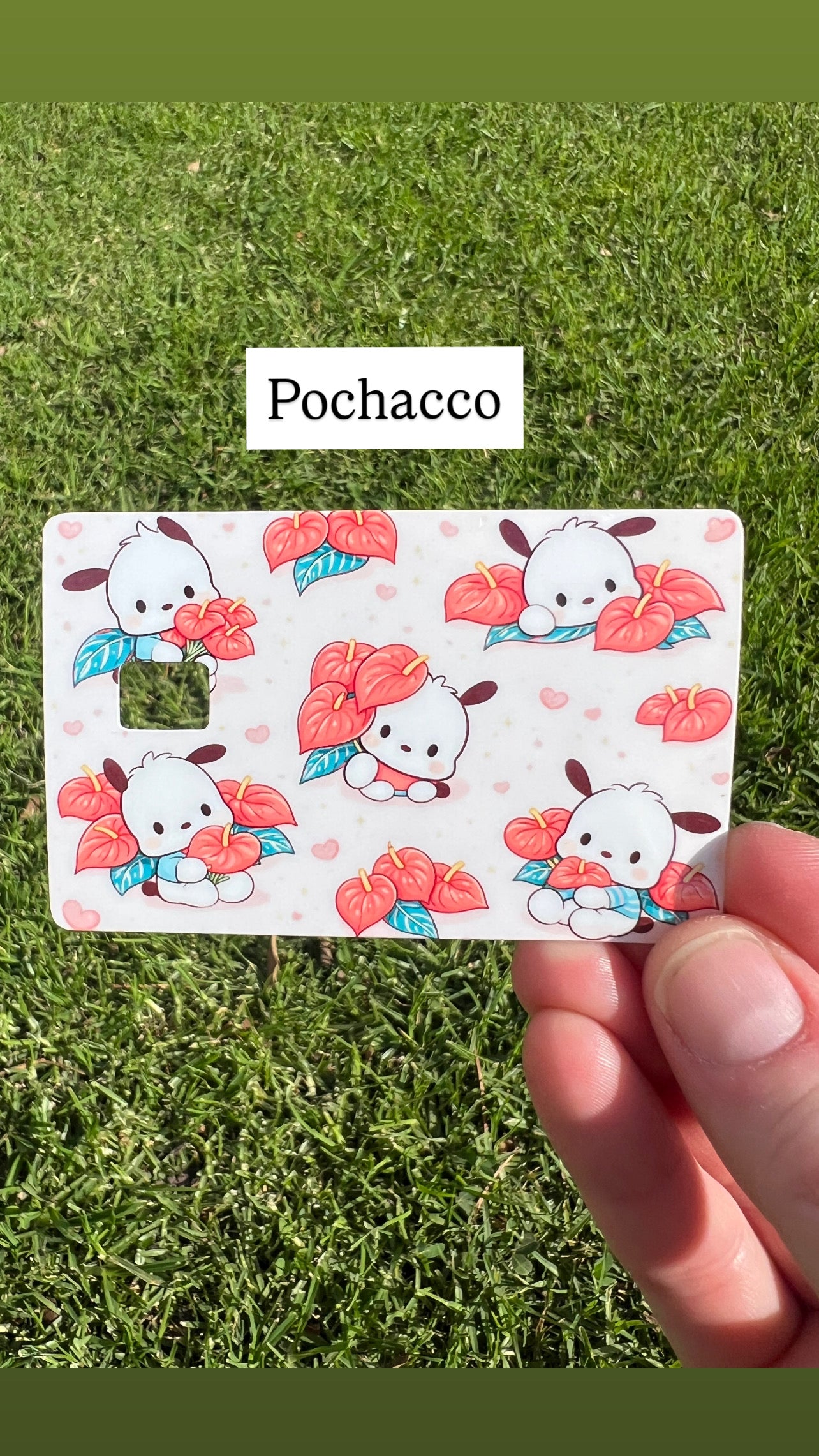 Sanrio Collection Card Skins