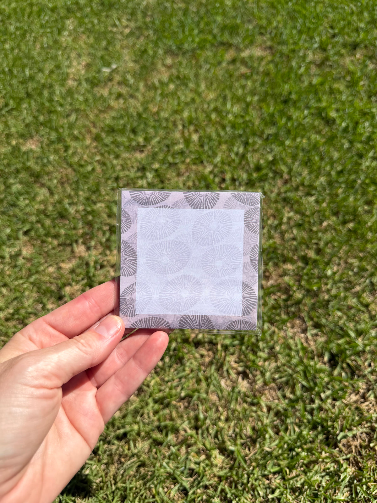 Tropical Coastal Sticky Notes