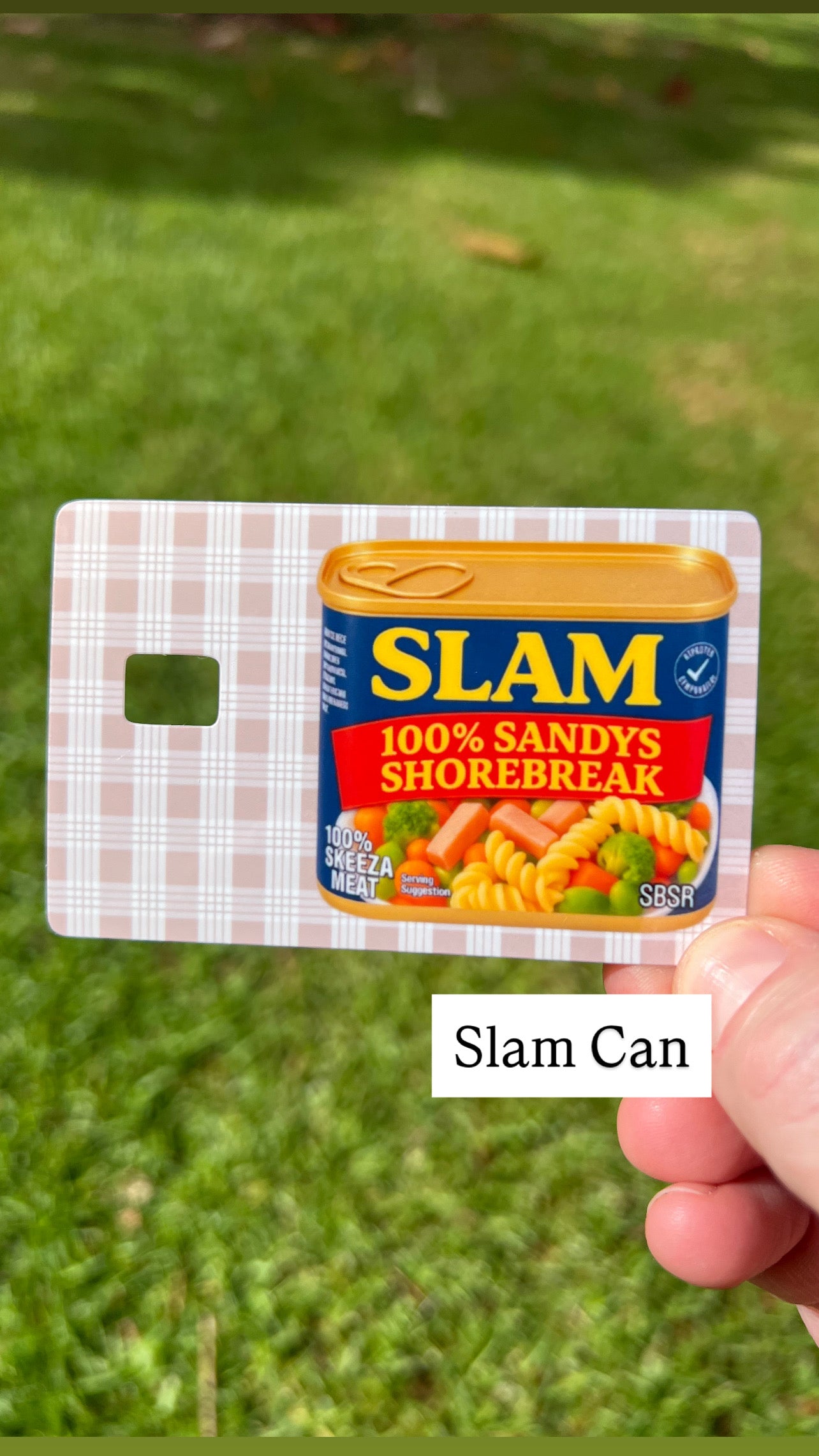 Sandy Beach Surf Report Card Skins
