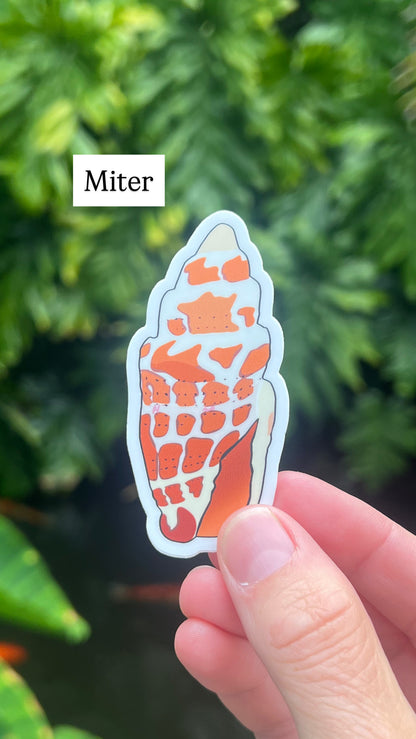 Seashell Stickers