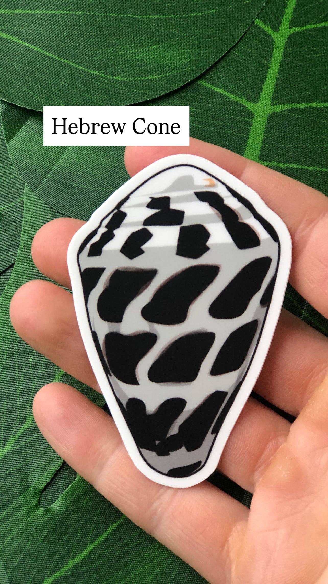 Seashell Stickers