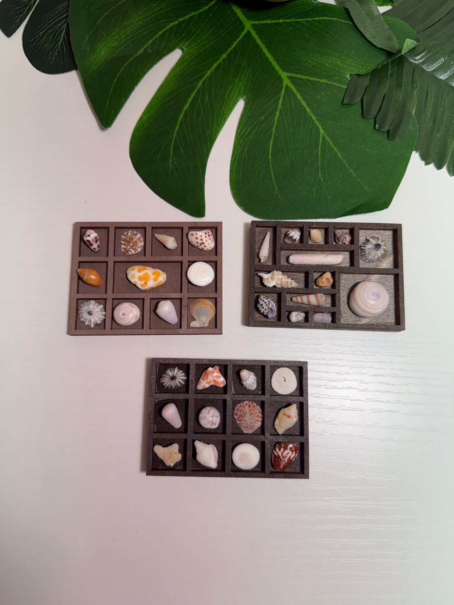 Tiny Treasure Tray
