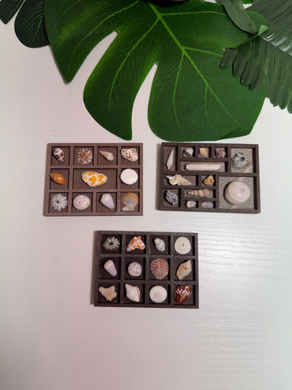 Tiny Treasure Tray
