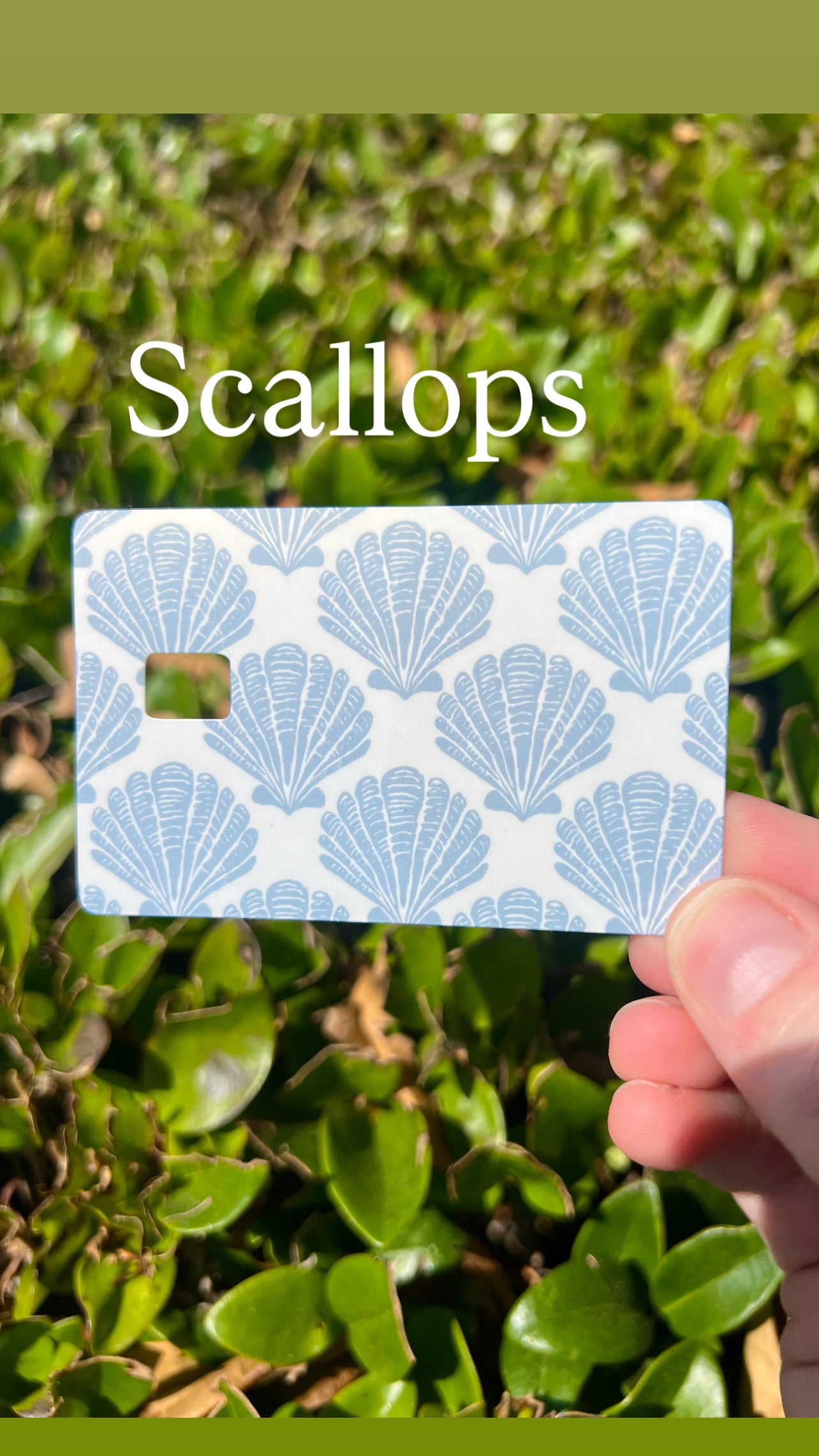 Seashell Card Skins