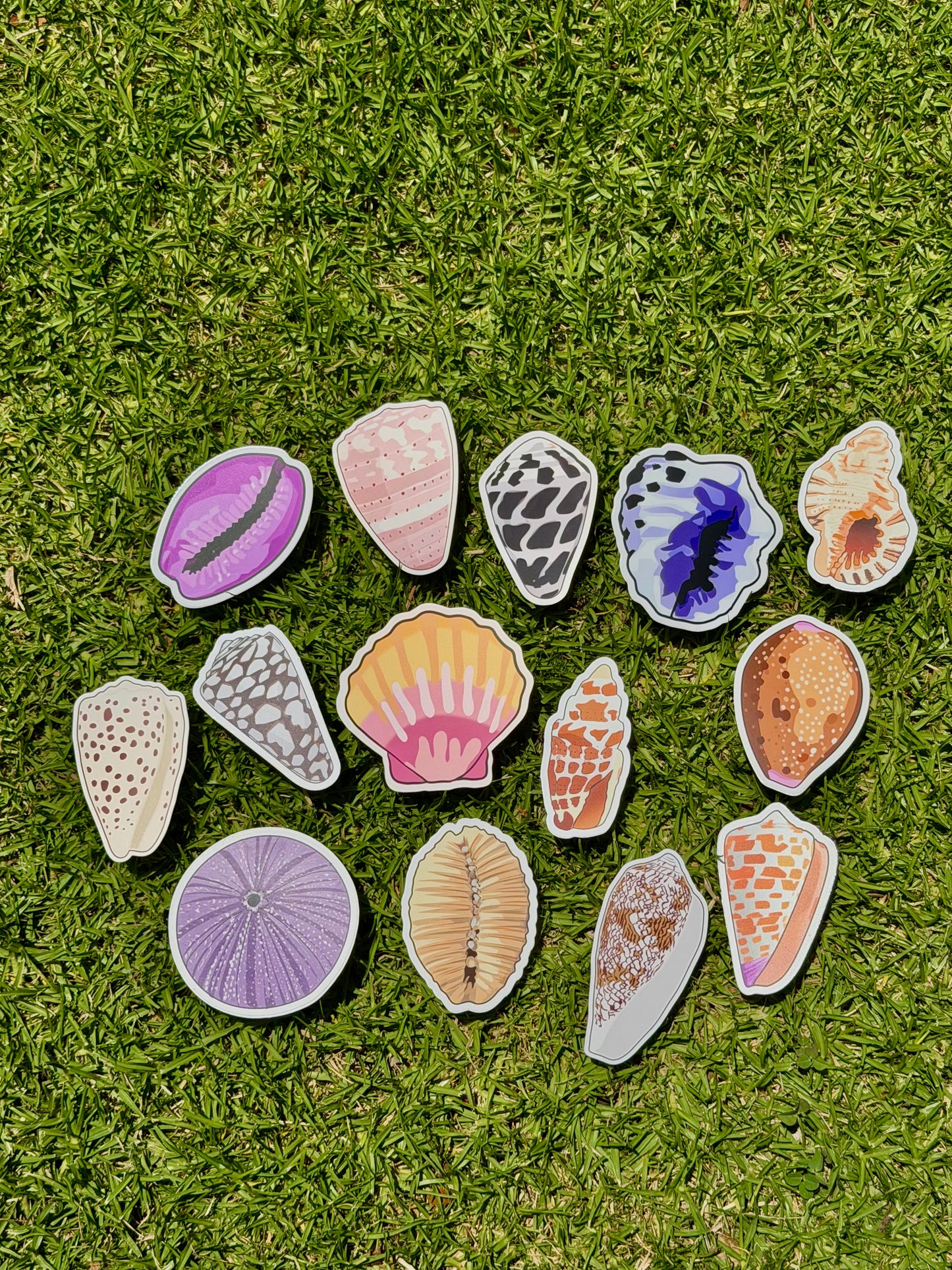 Seashell Stickers