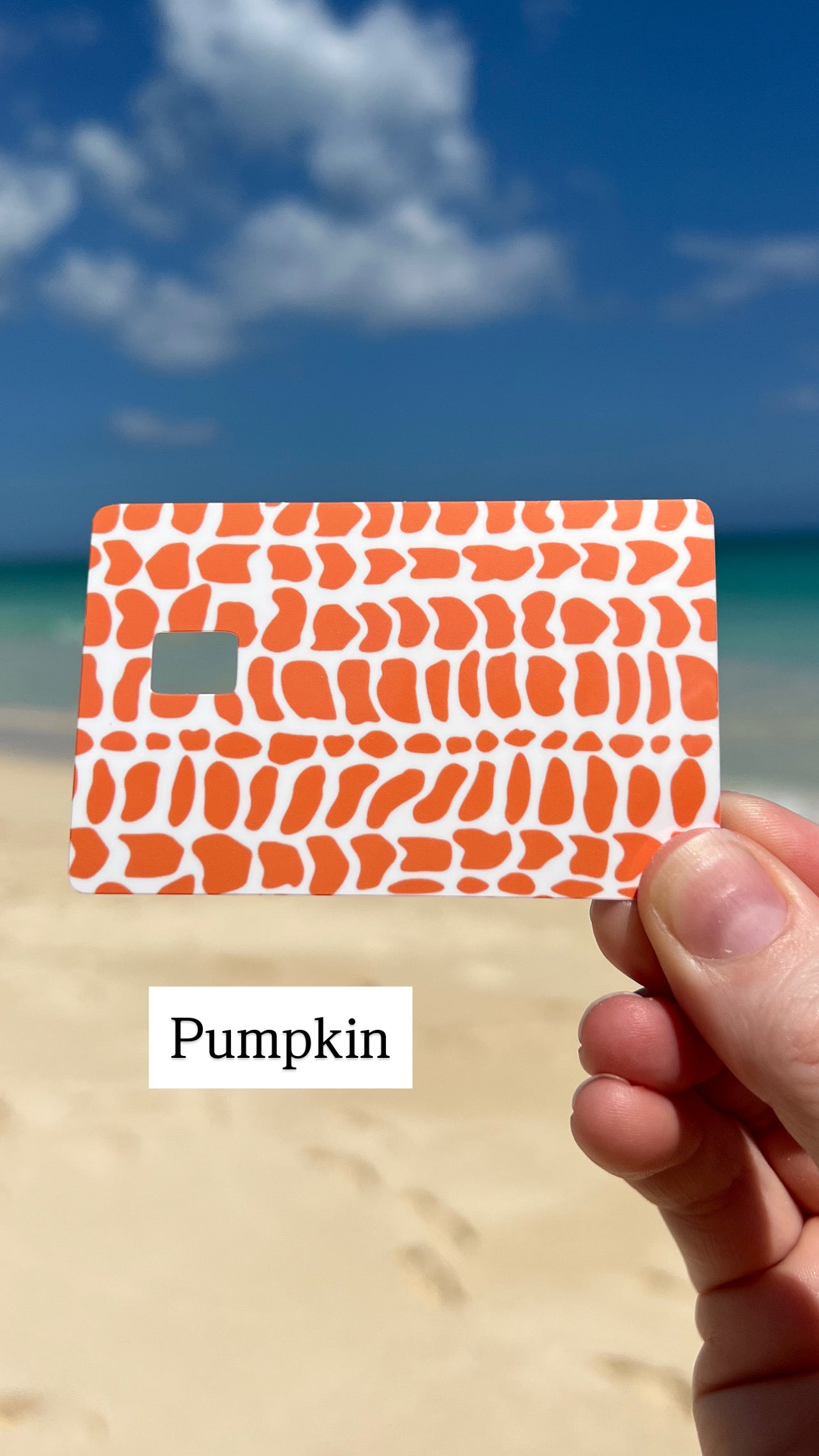 Hebrew Cone Shell Pattern Card Skins