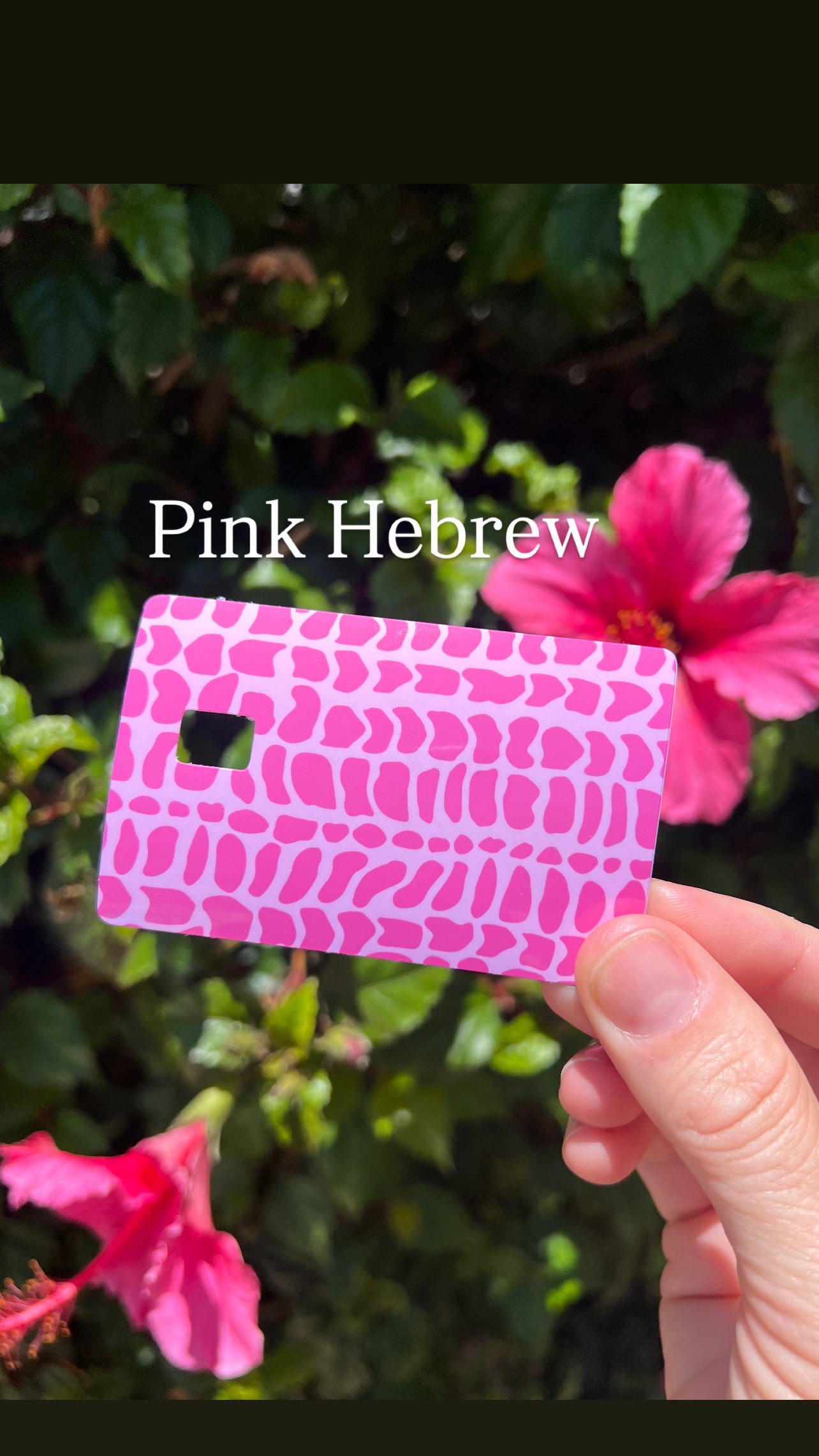 Hebrew Cone Shell Pattern Card Skins
