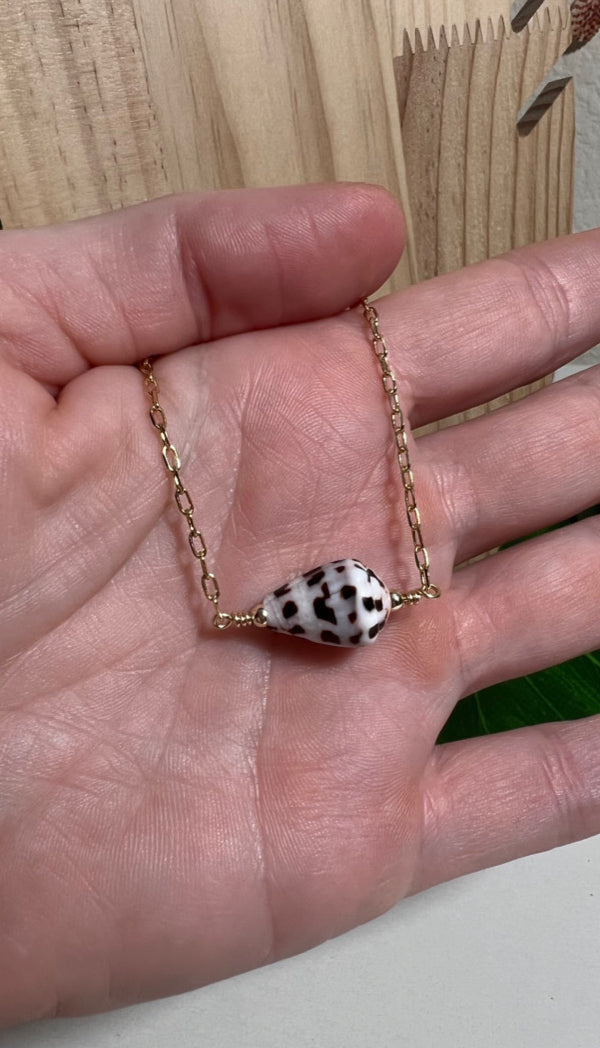 Hebrew Cone Shell Necklace