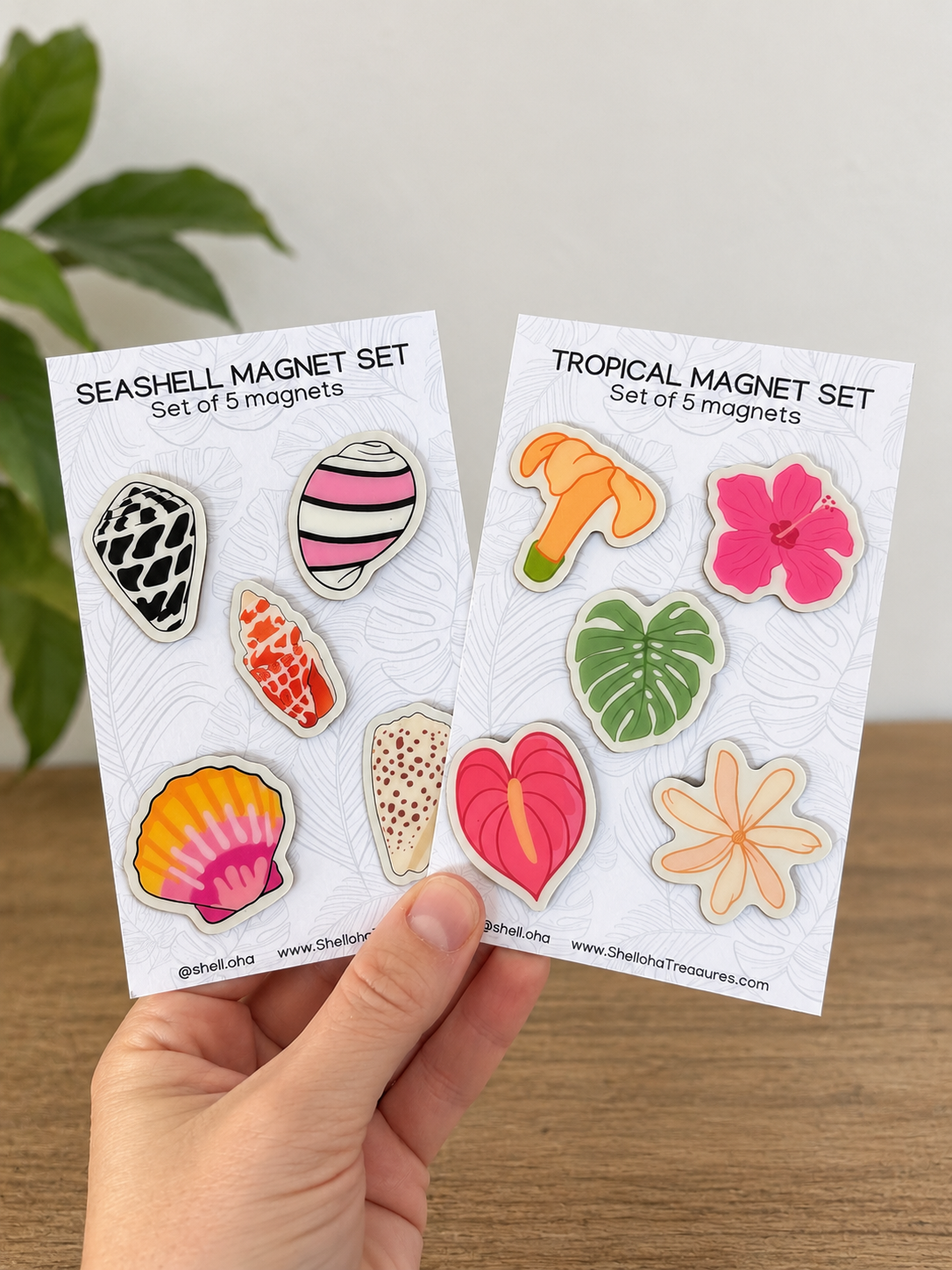 Coastal Magnet Sets – Sets of 5