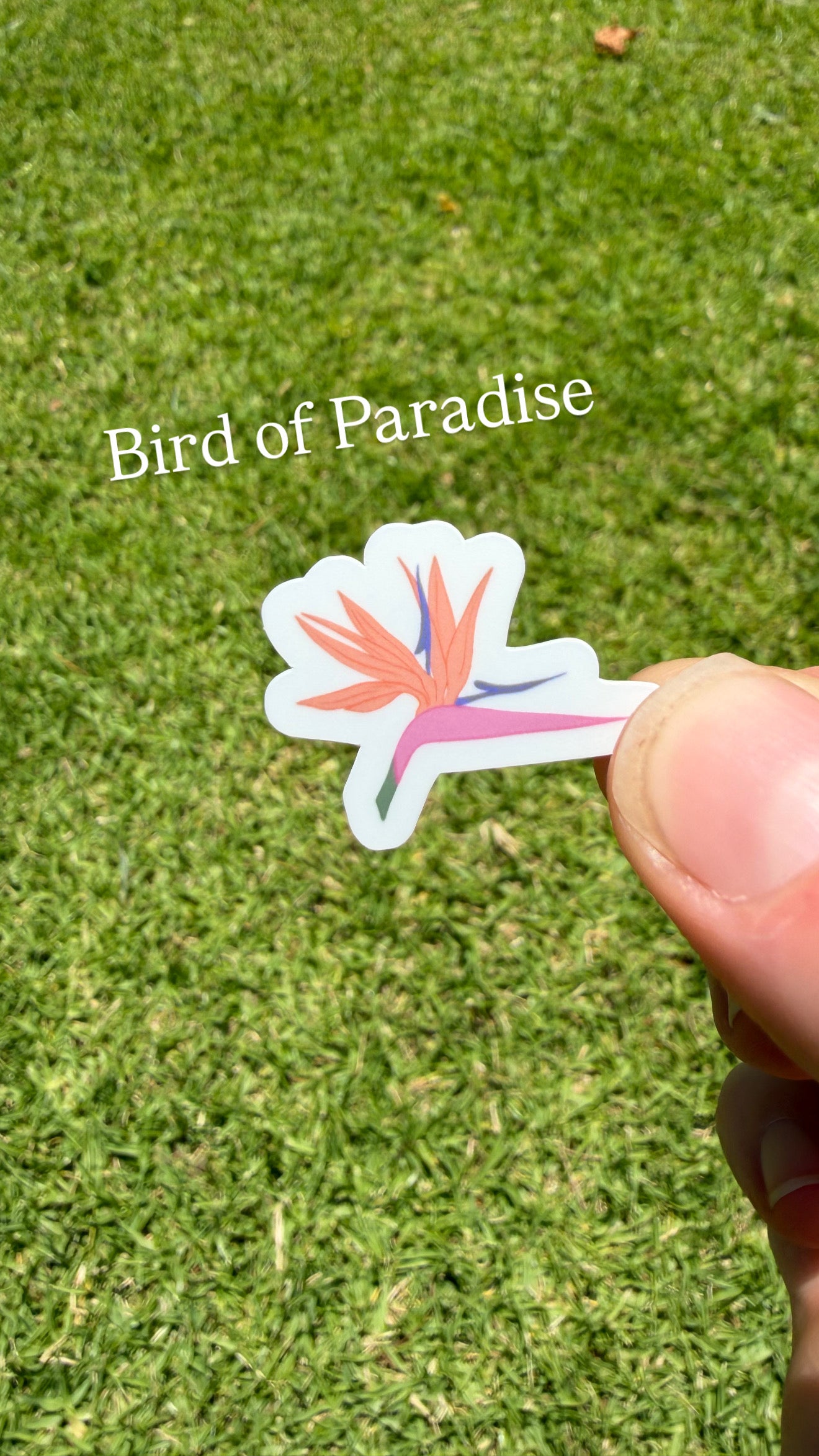 Mini Tropical Sticker Bundle