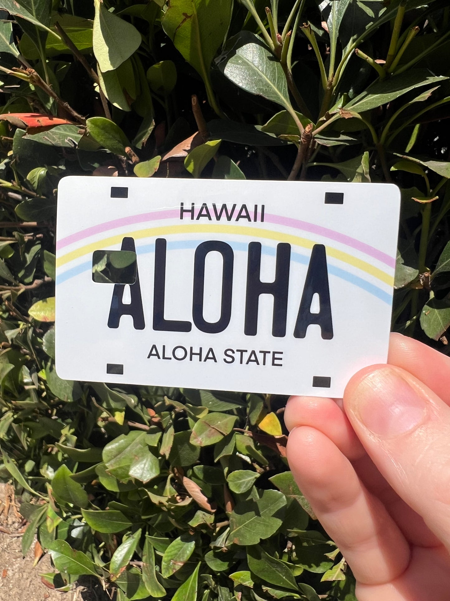 Local Hawaii Themed Card Skins