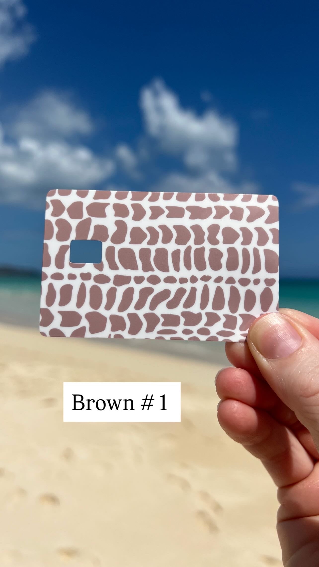 Hebrew Cone Shell Pattern Card Skins