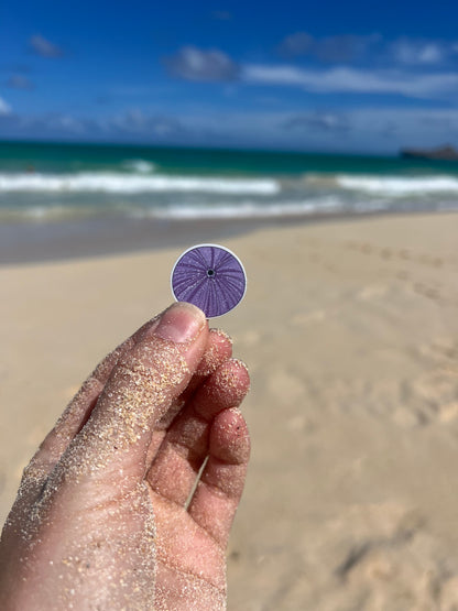 Mini Seashell Stickers