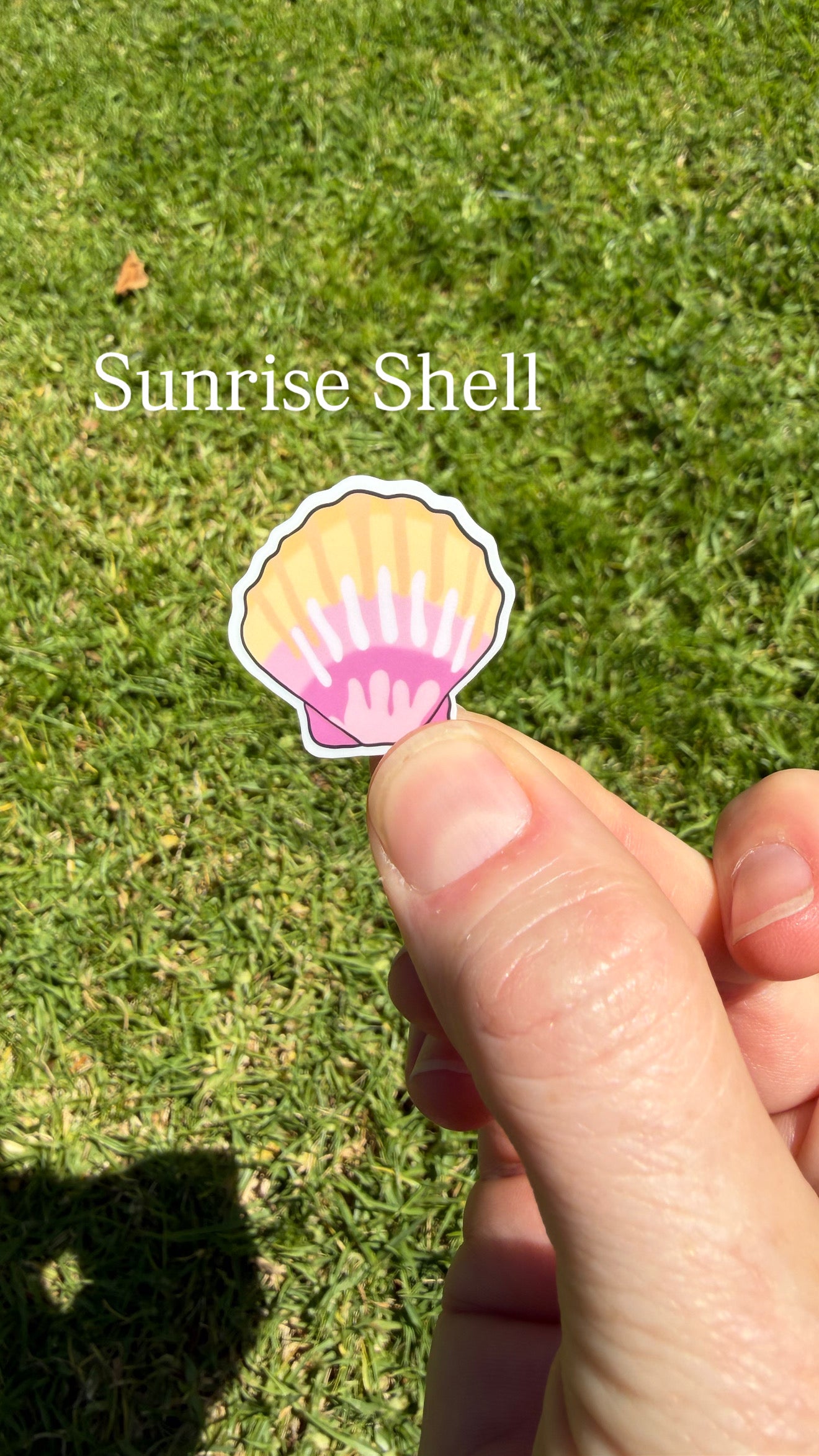 Mini Seashell Stickers