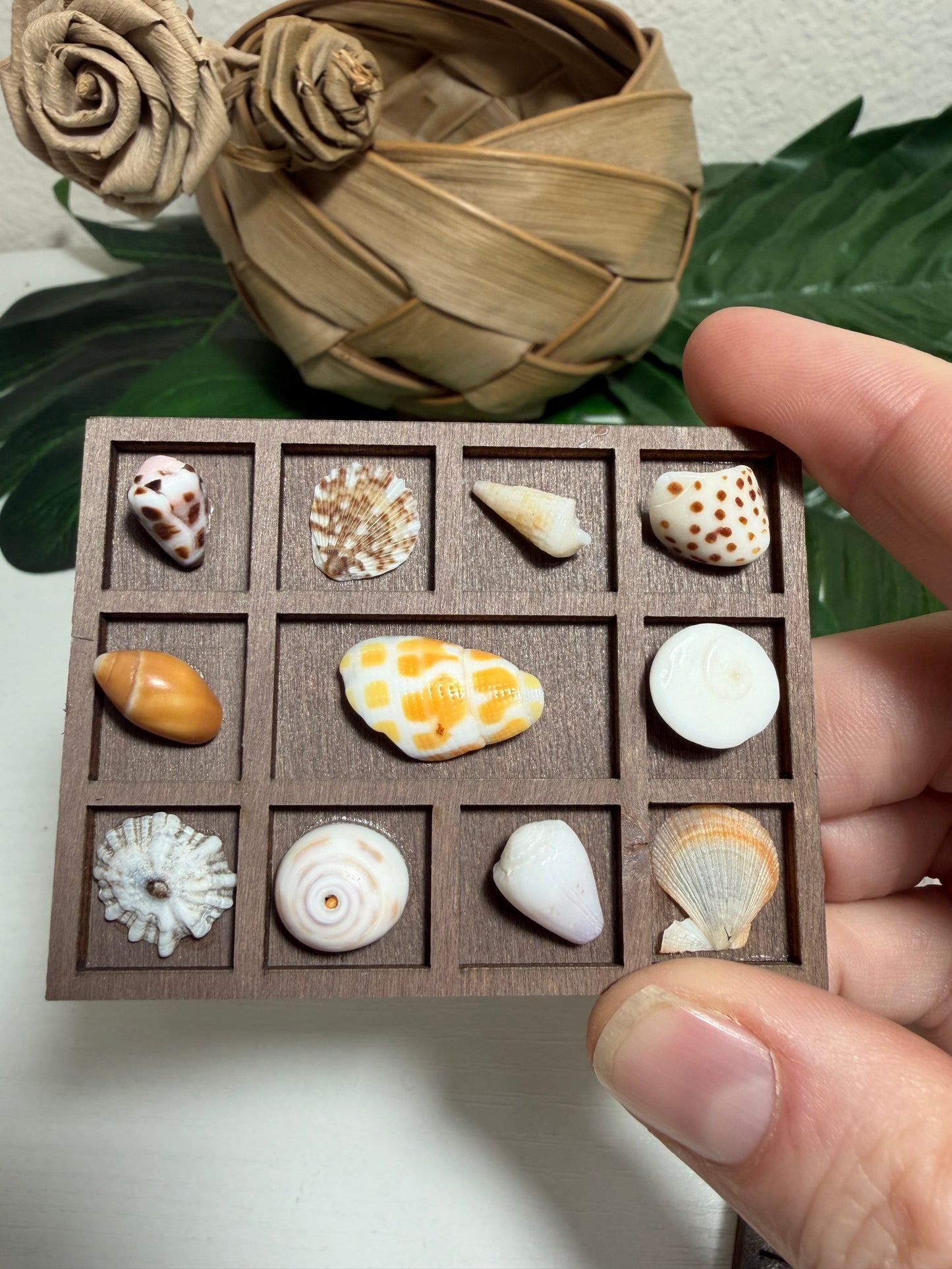 Tiny Treasure Tray